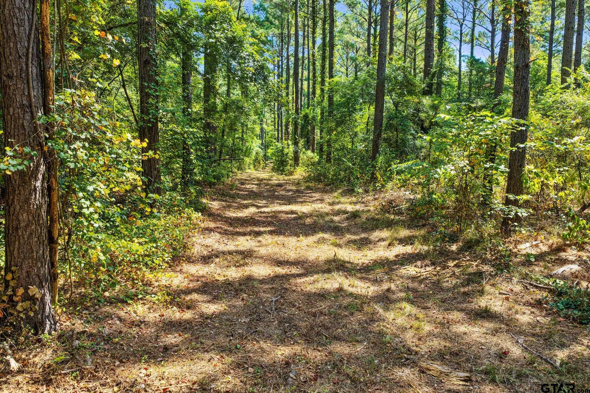 Lot 2 County Road 1240