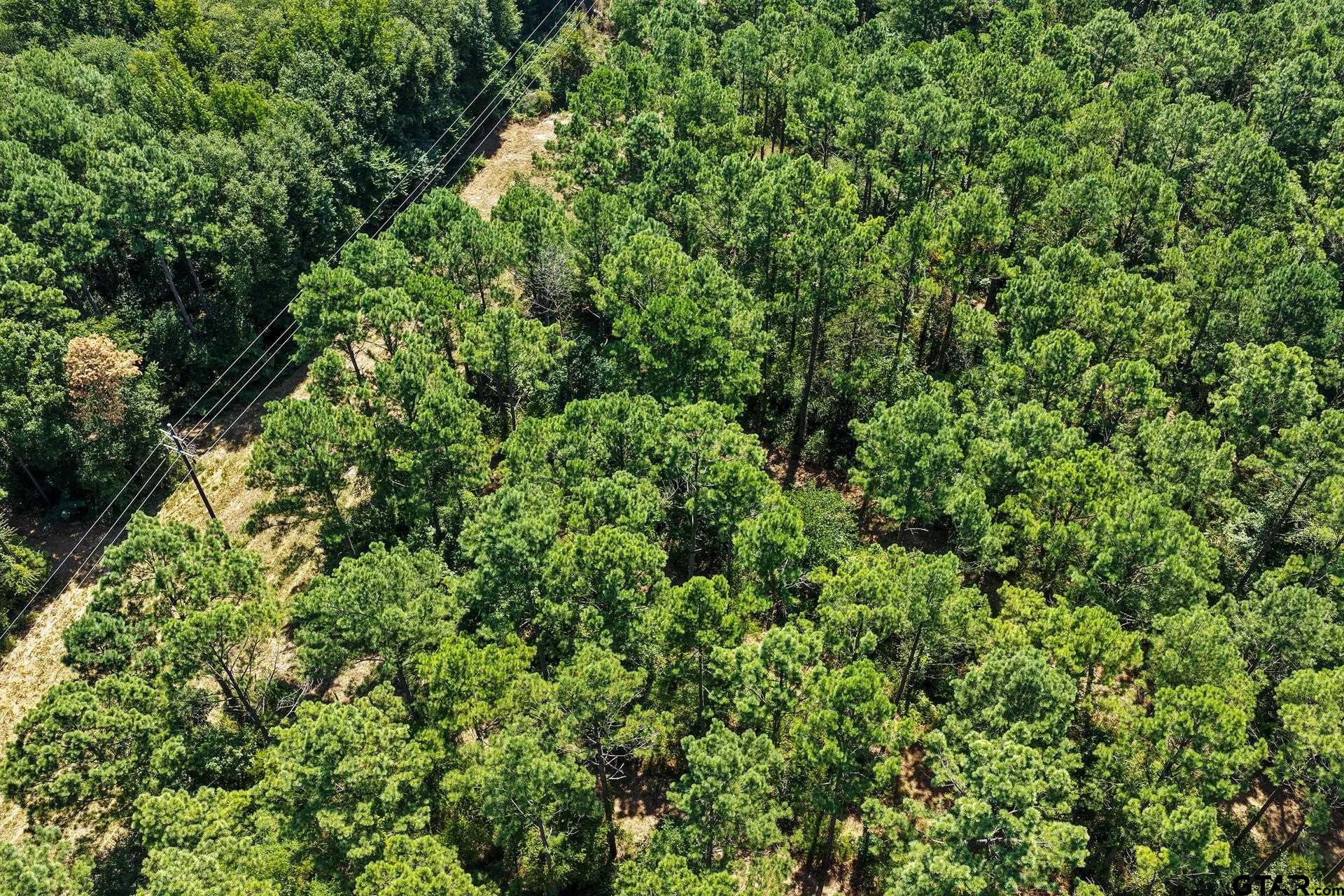 Lot 2 County Road 1240