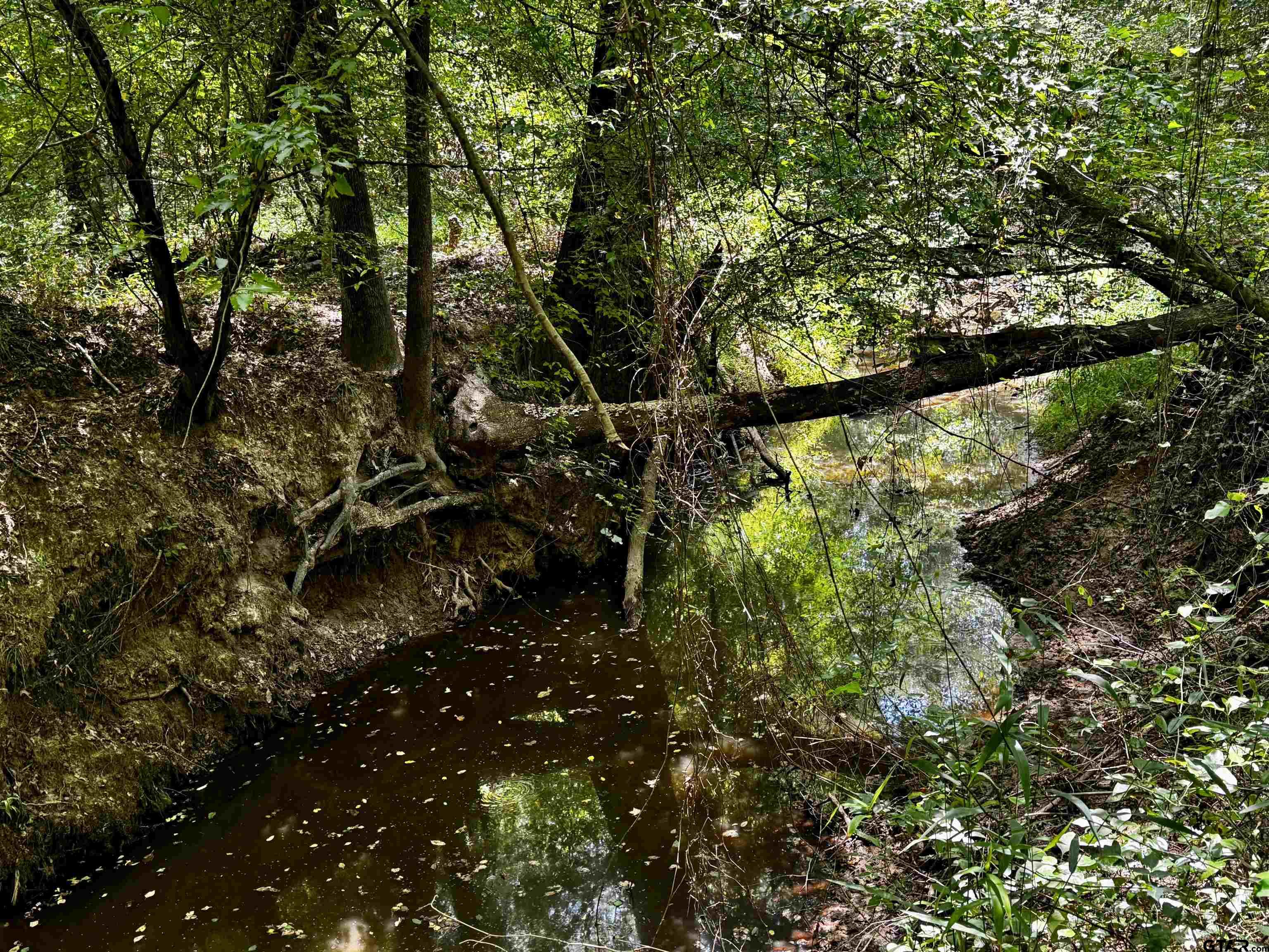 Lot 2 County Road 1240