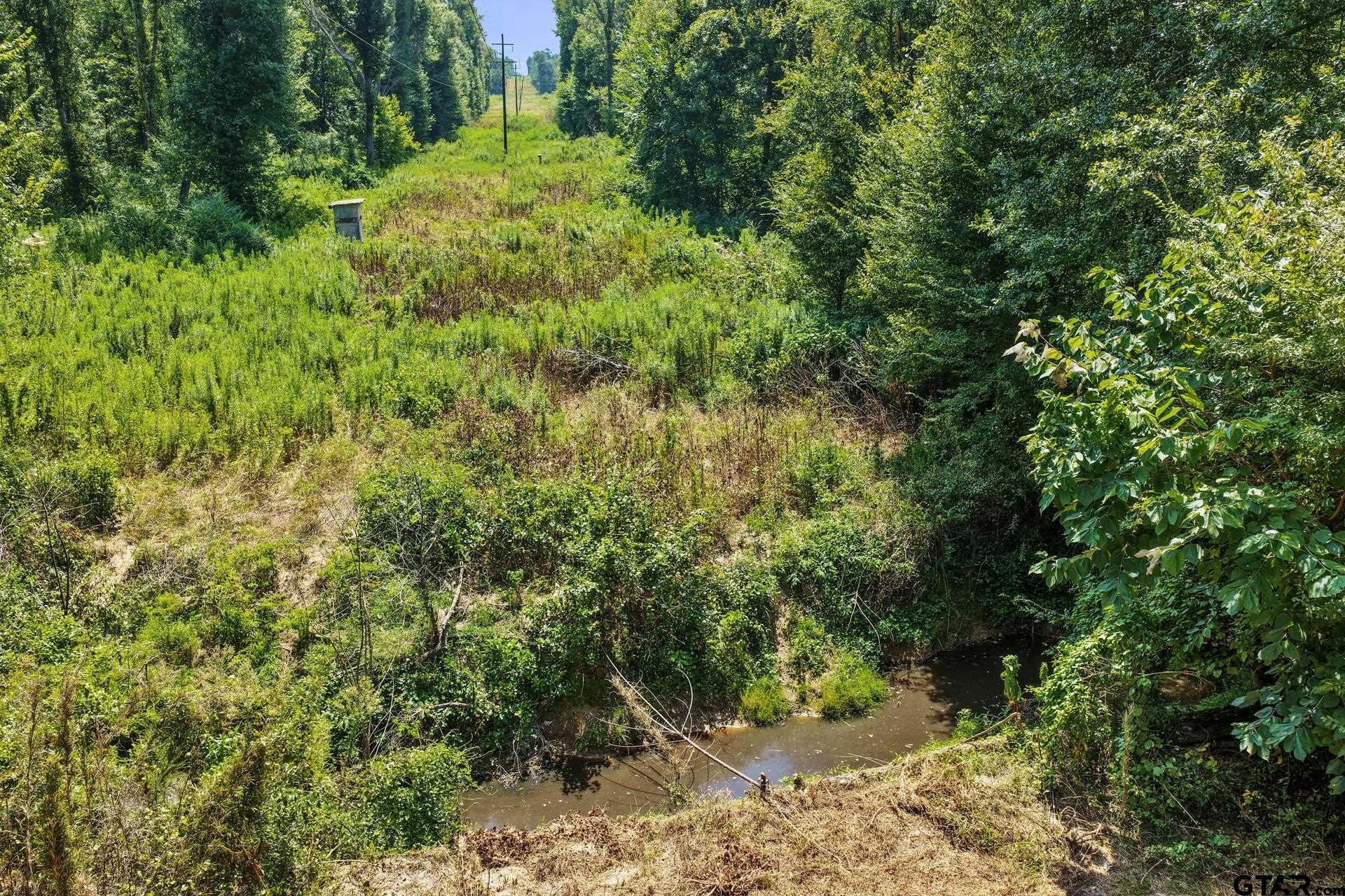 Lot 2 County Road 1240