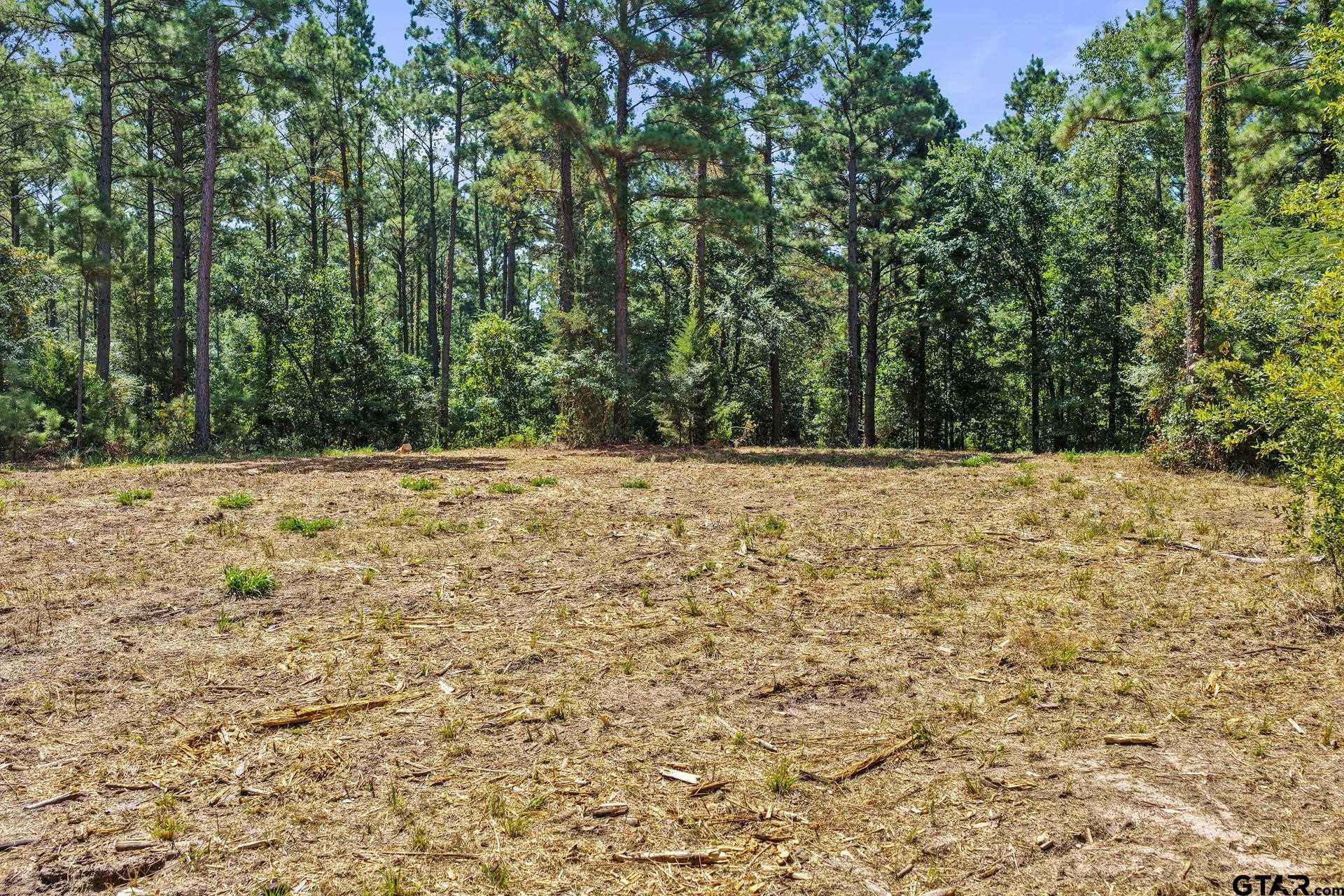 Lot 2 County Road 1240