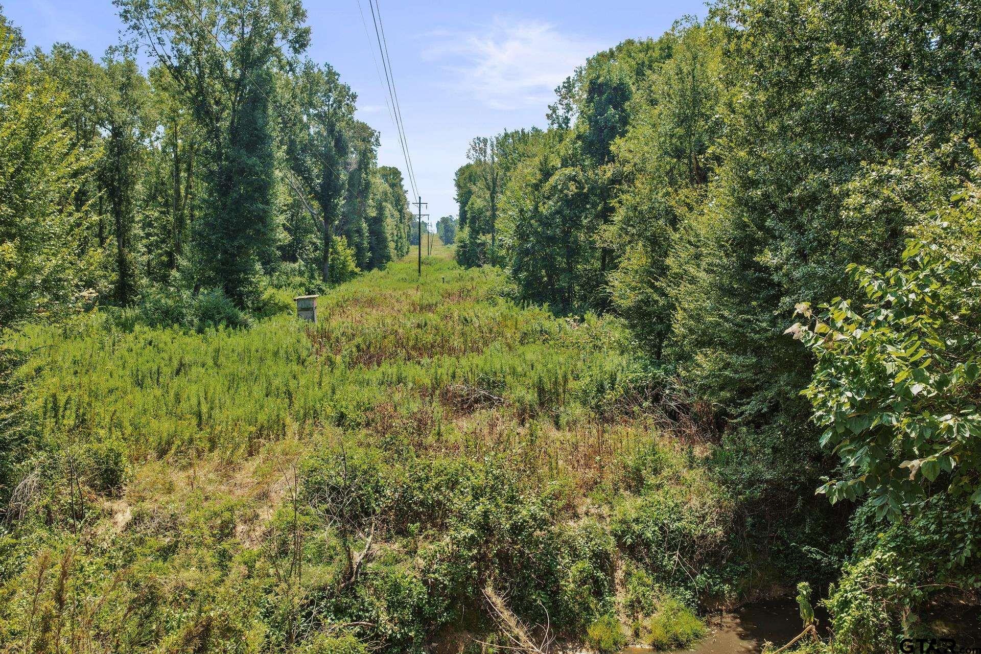 Lot 2 County Road 1240