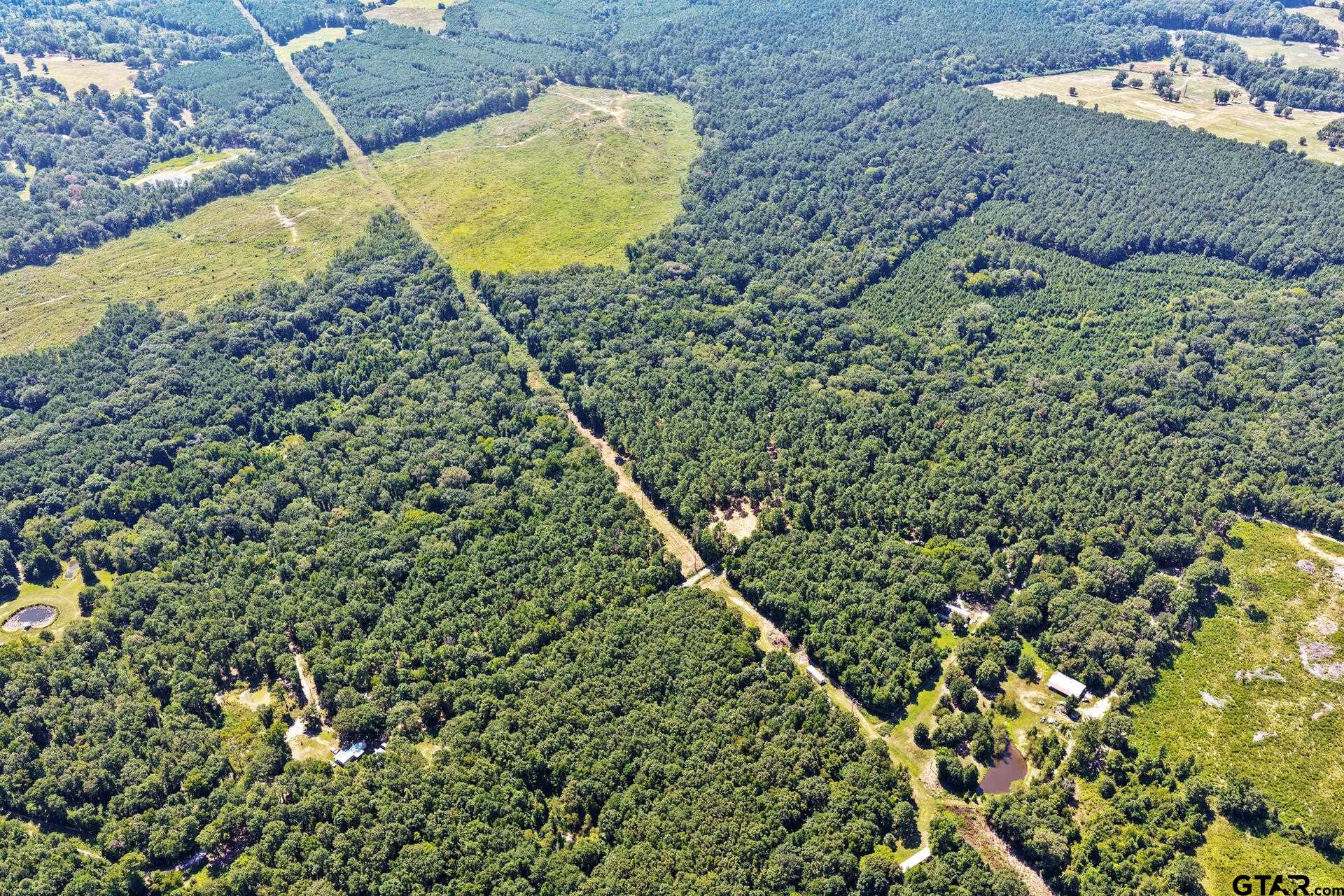 Lot 2 County Road 1240