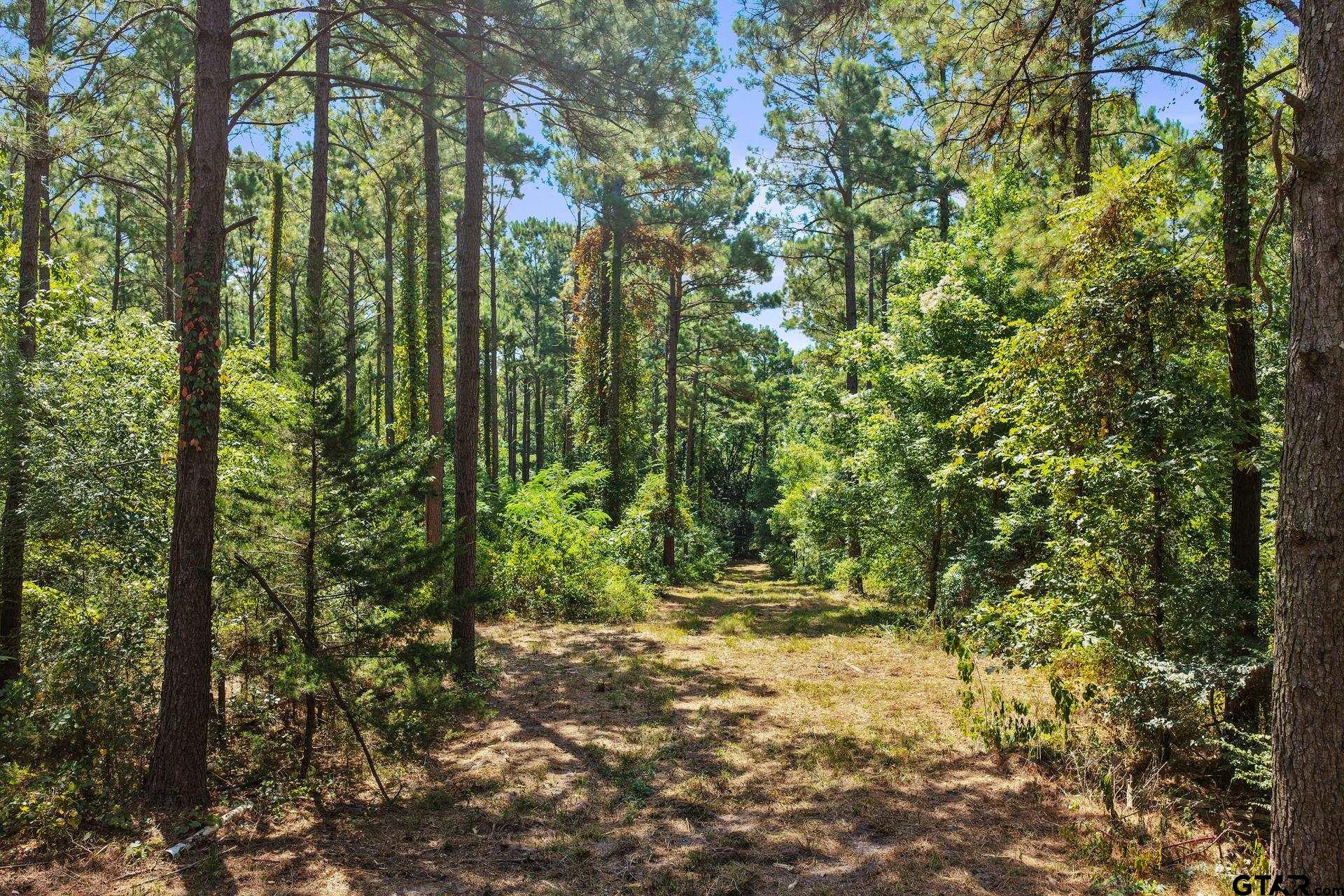 Lot 2 County Road 1240
