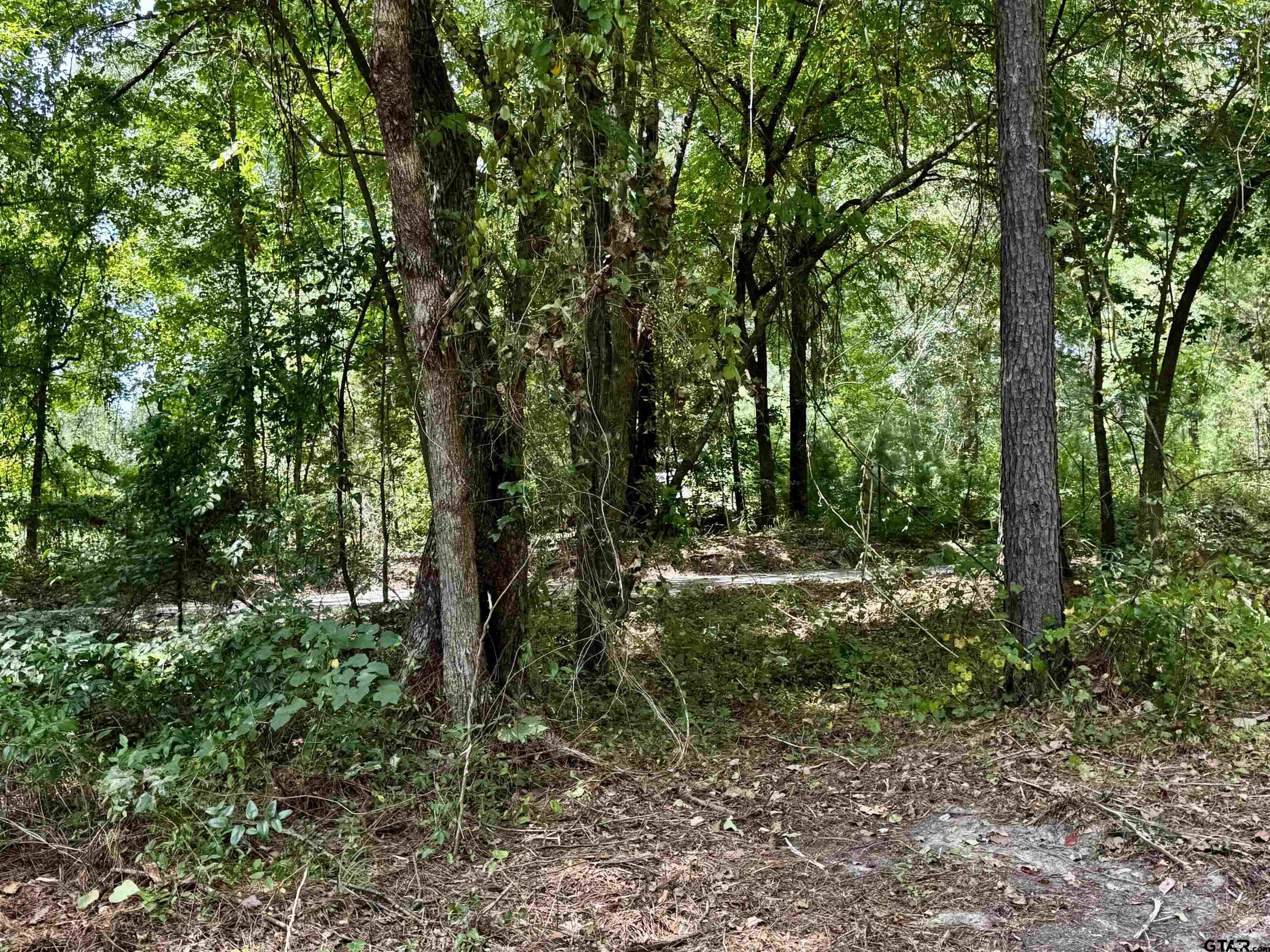 Lot 2 County Road 1240