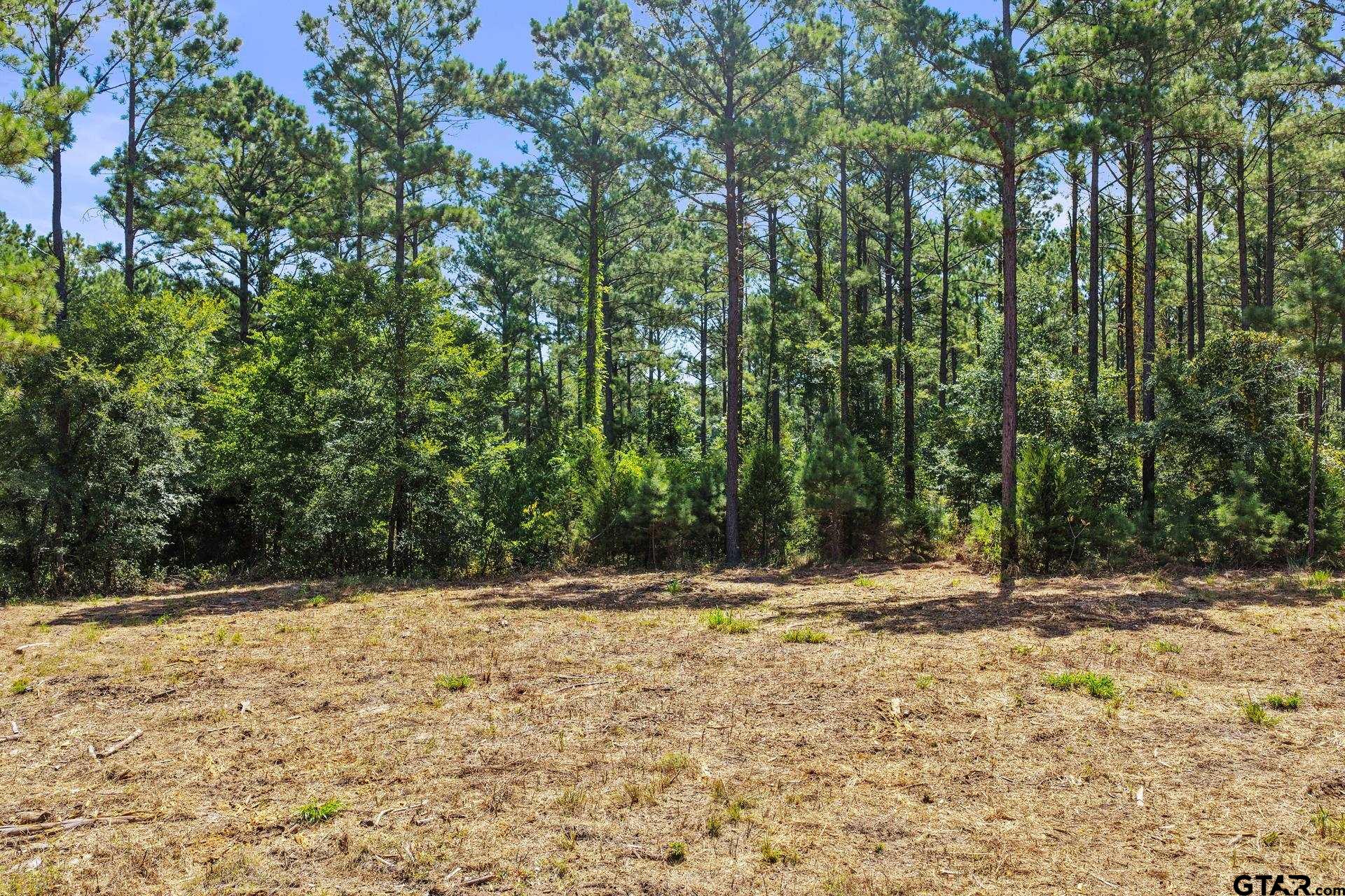 Lot 2 County Road 1240
