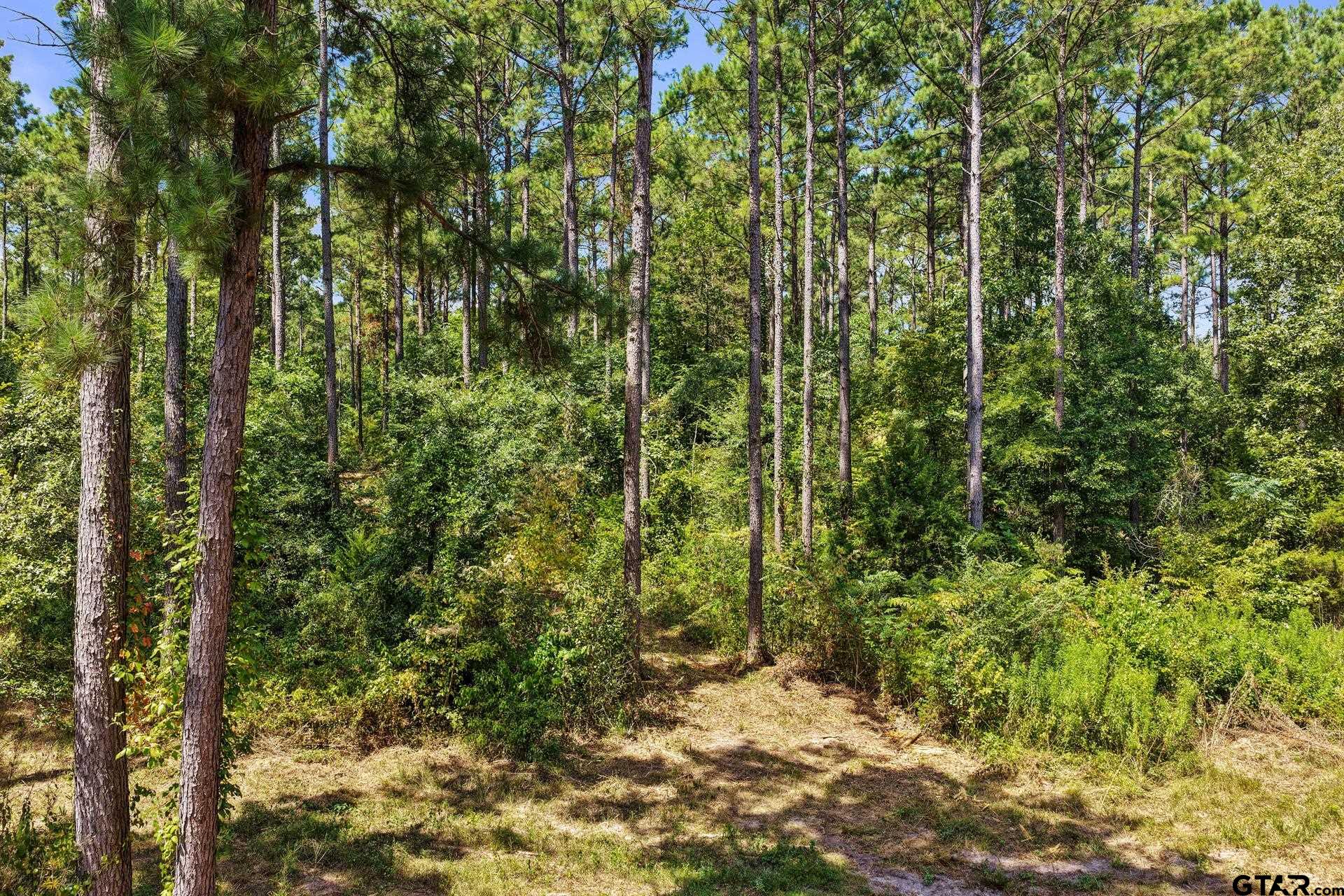 Lot 2 County Road 1240