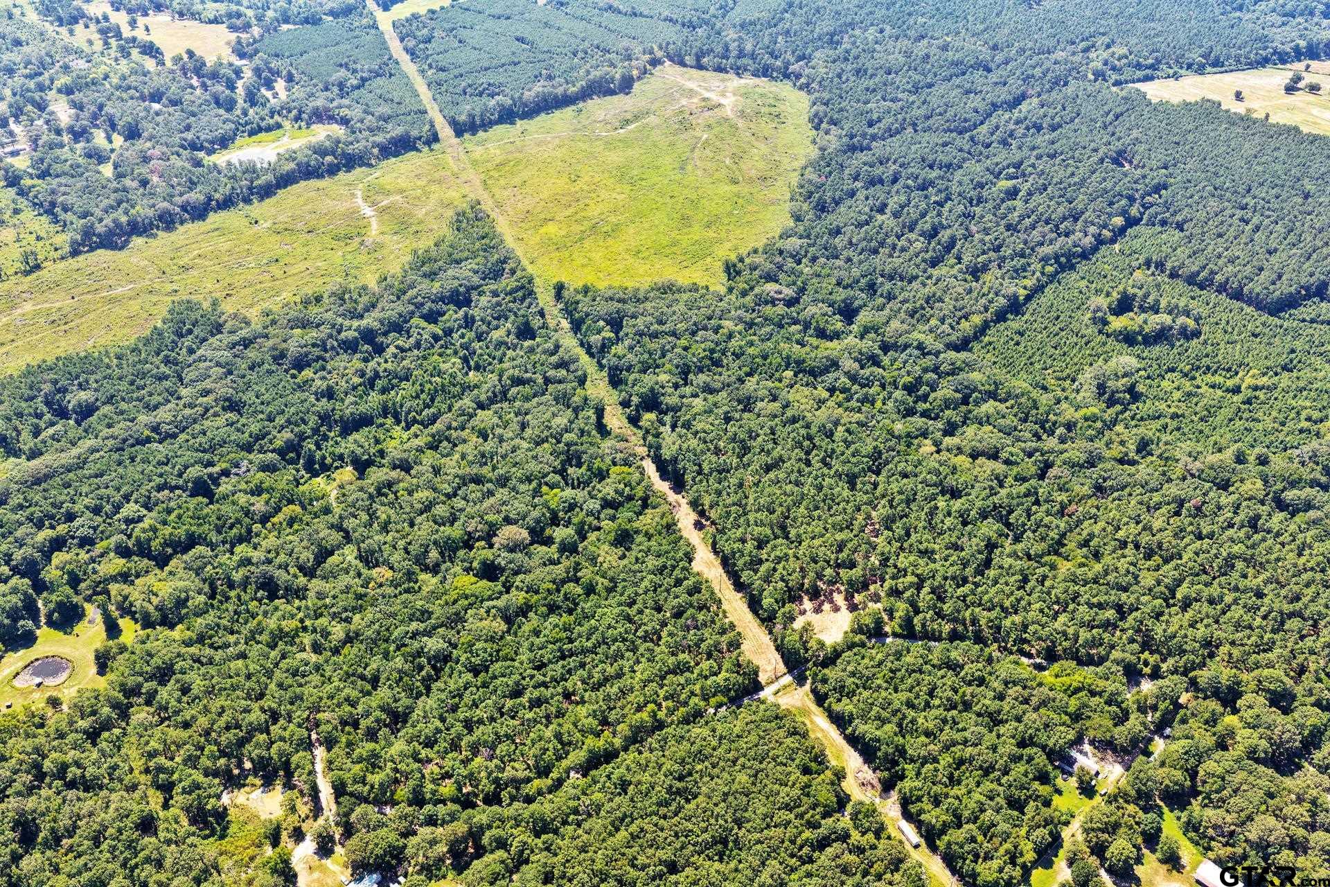 Lot 2 County Road 1240