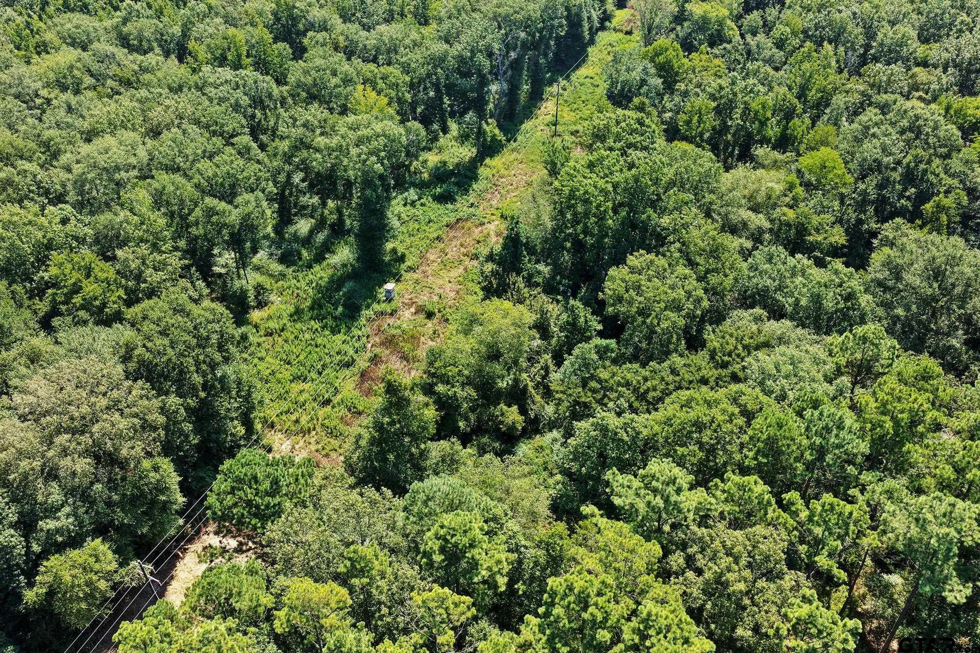 Lot 2 County Road 1240