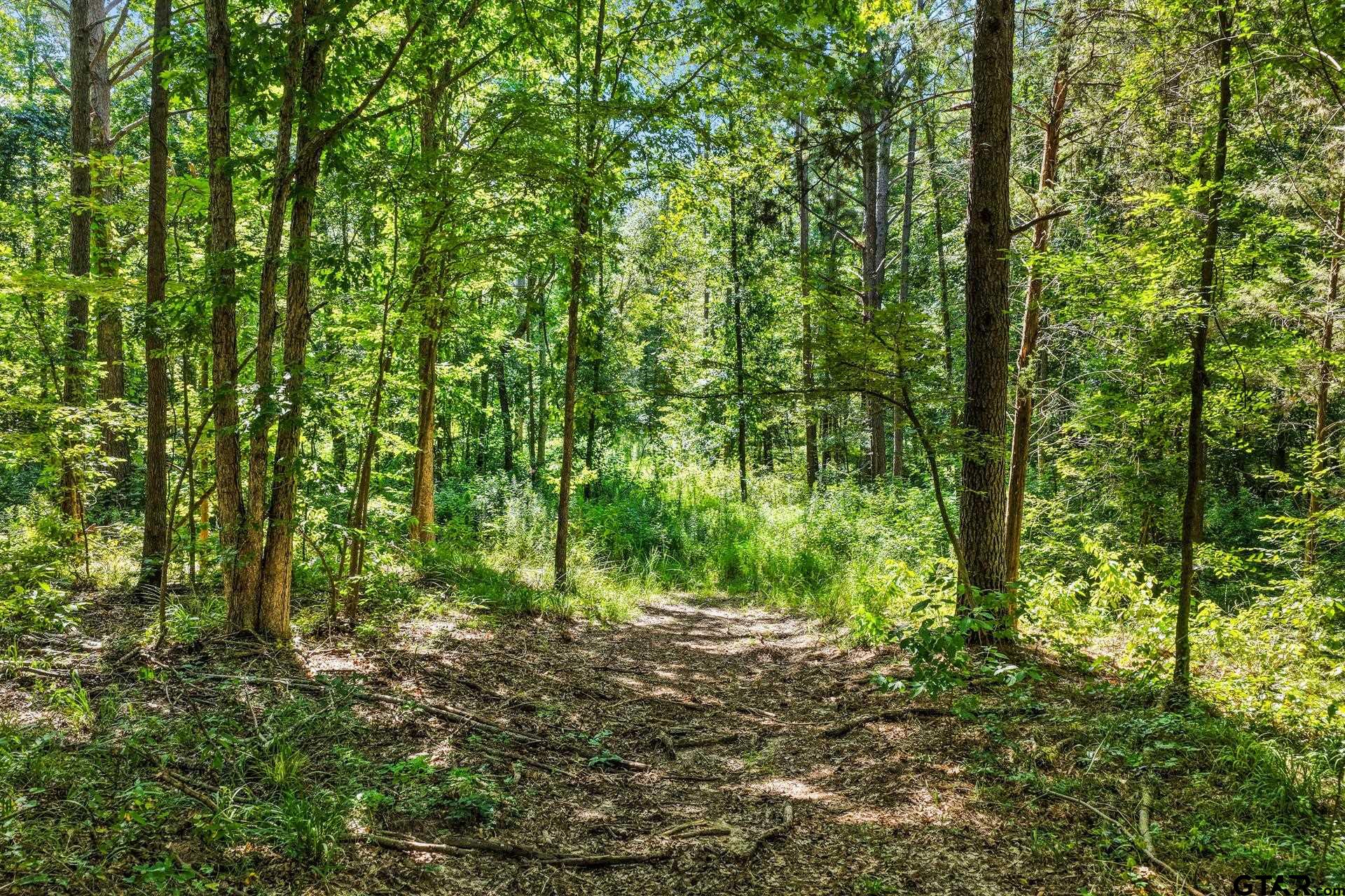 Lot 2 County Road 1240