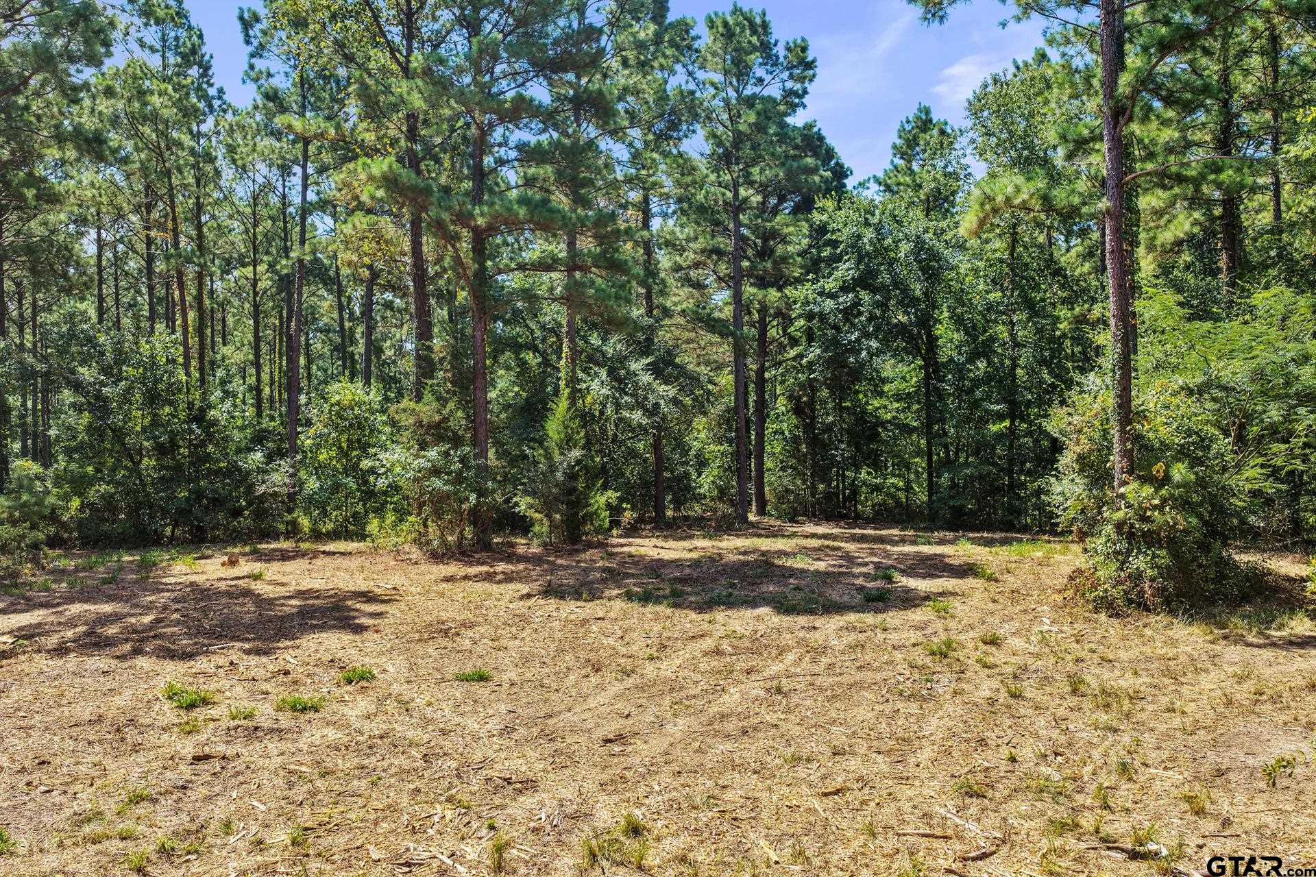 Lot 2 County Road 1240