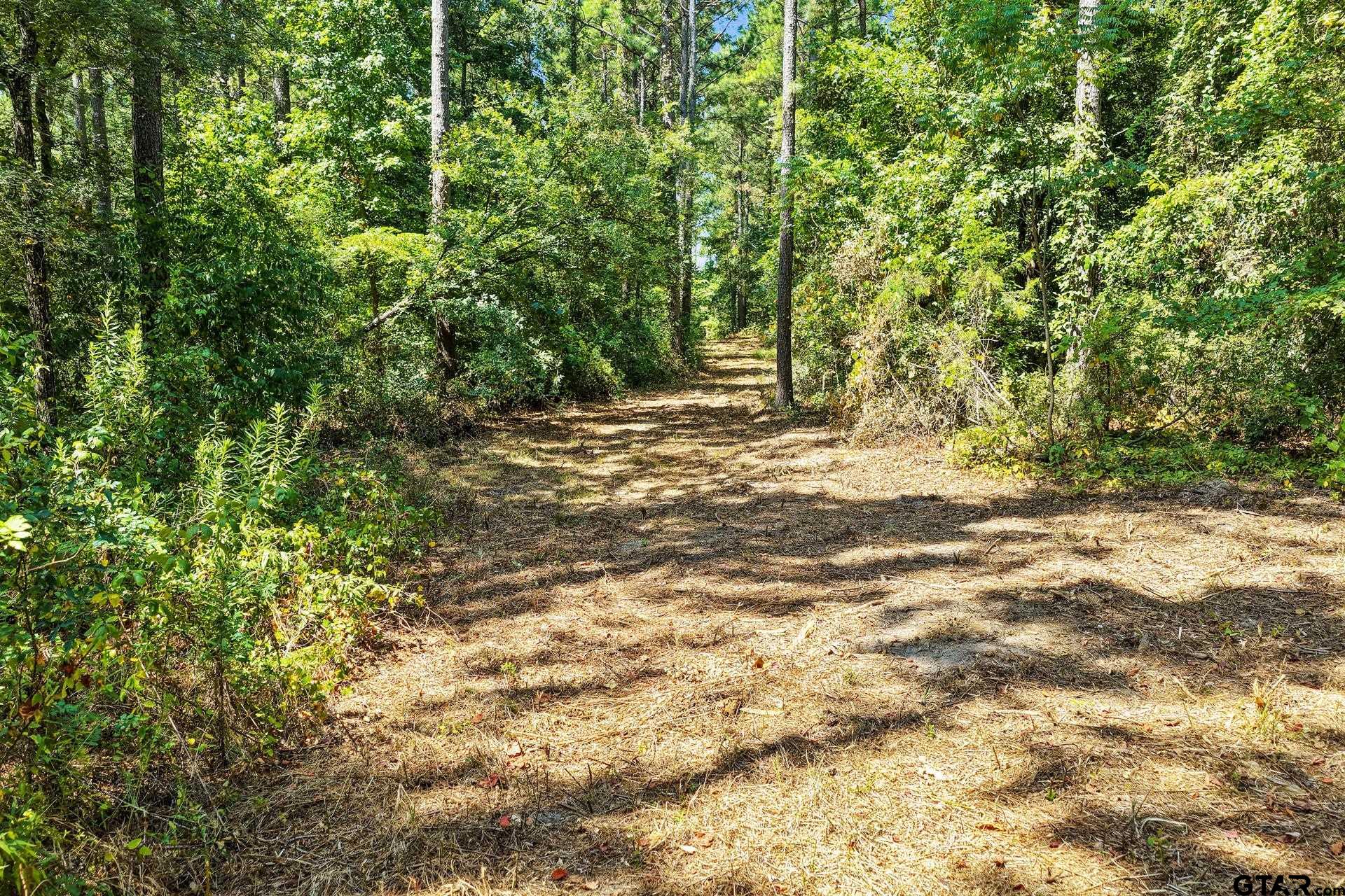 Lot 2 County Road 1240