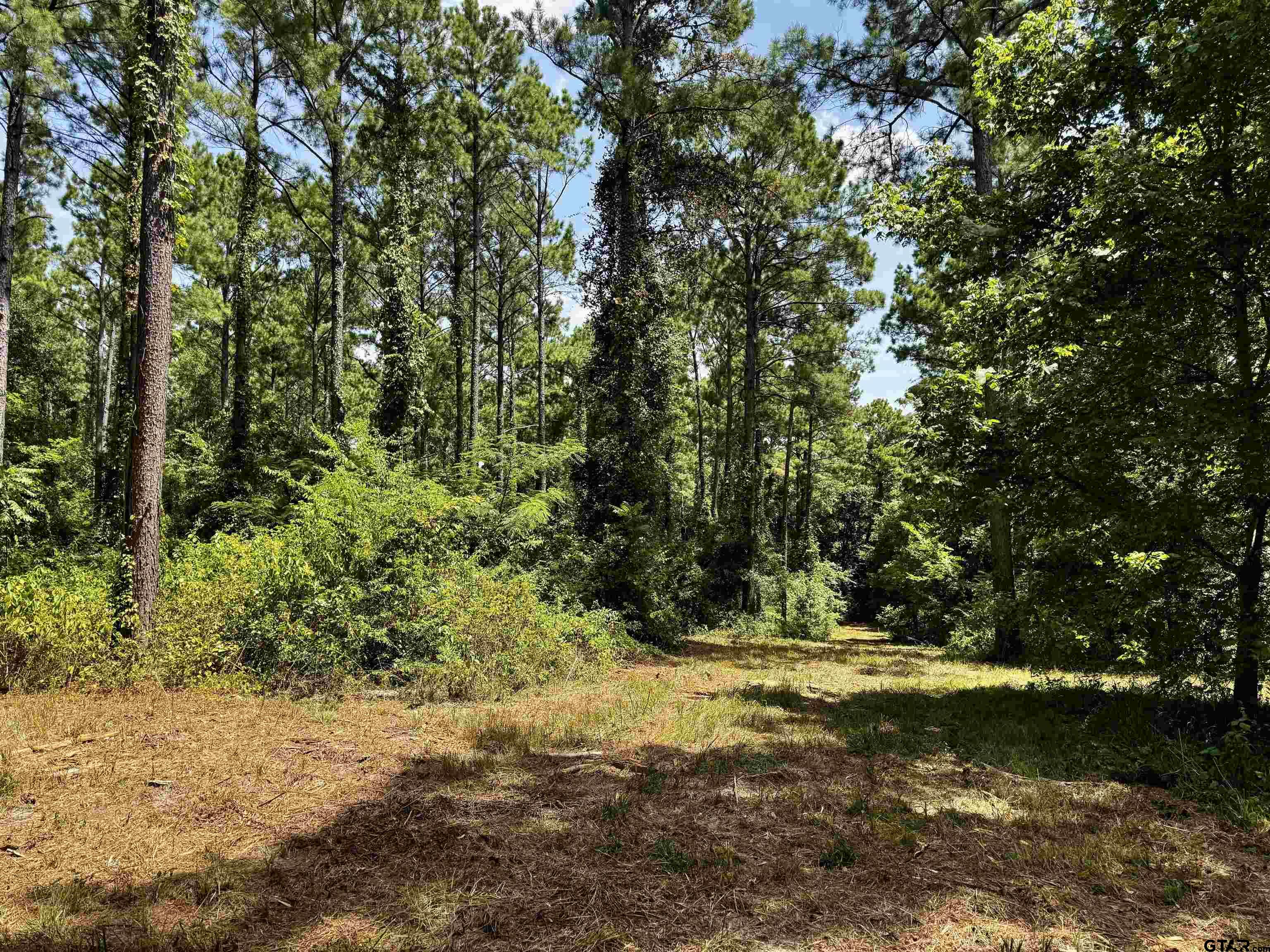 Lot 2 County Road 1240