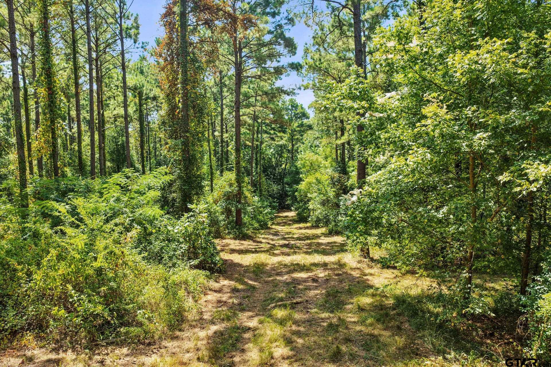 Lot 2 County Road 1240