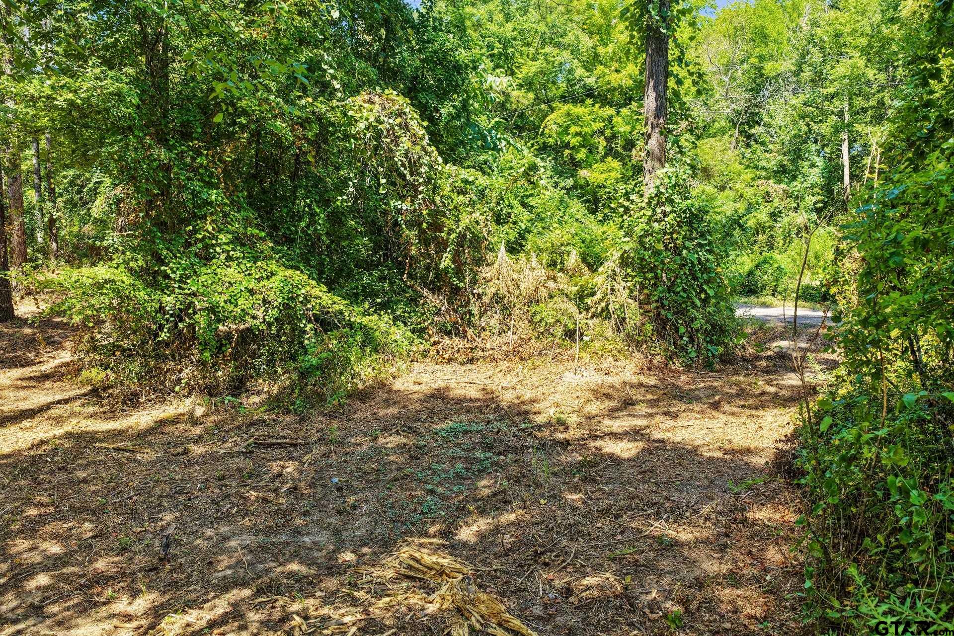Lot 2 County Road 1240