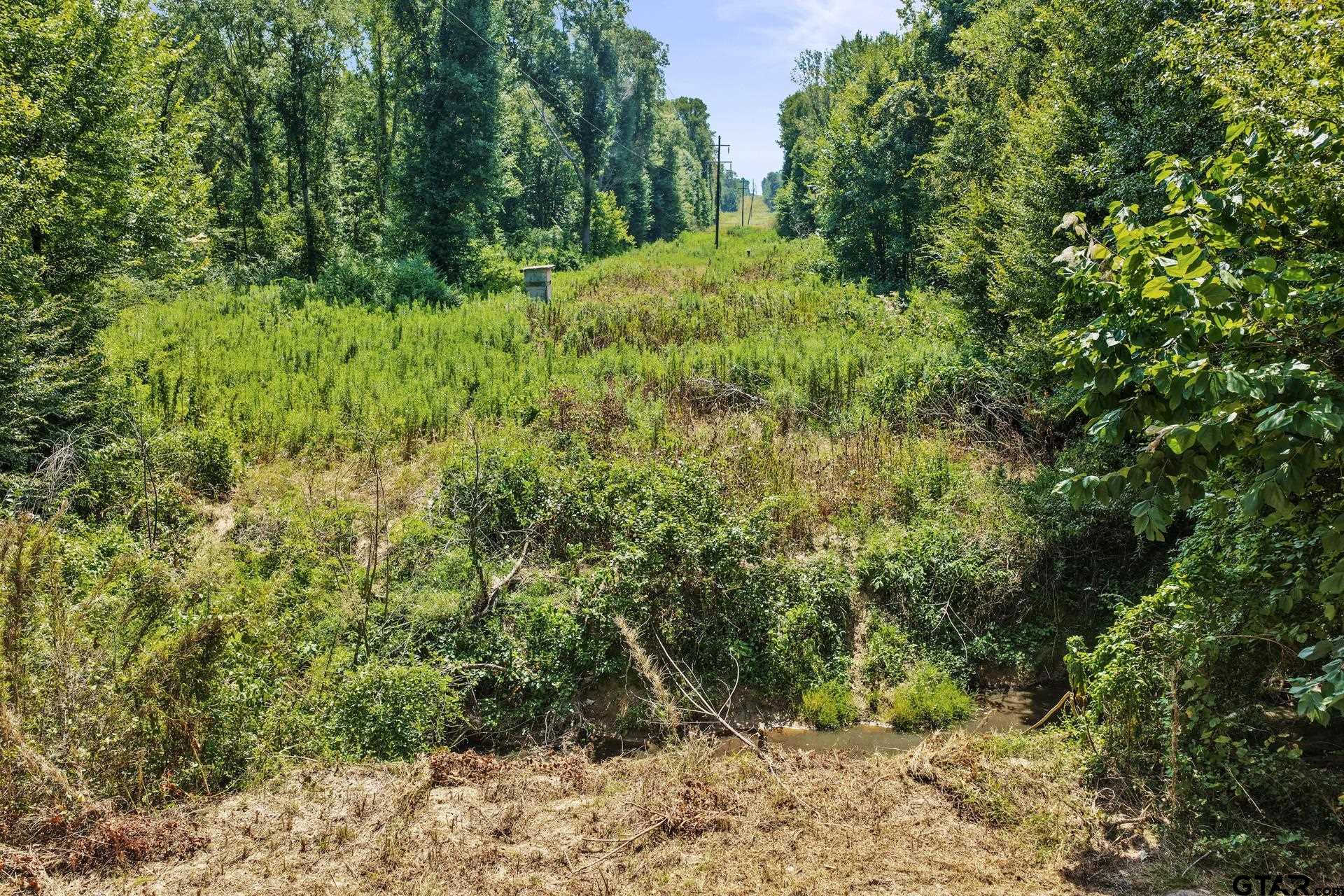 Lot 2 County Road 1240