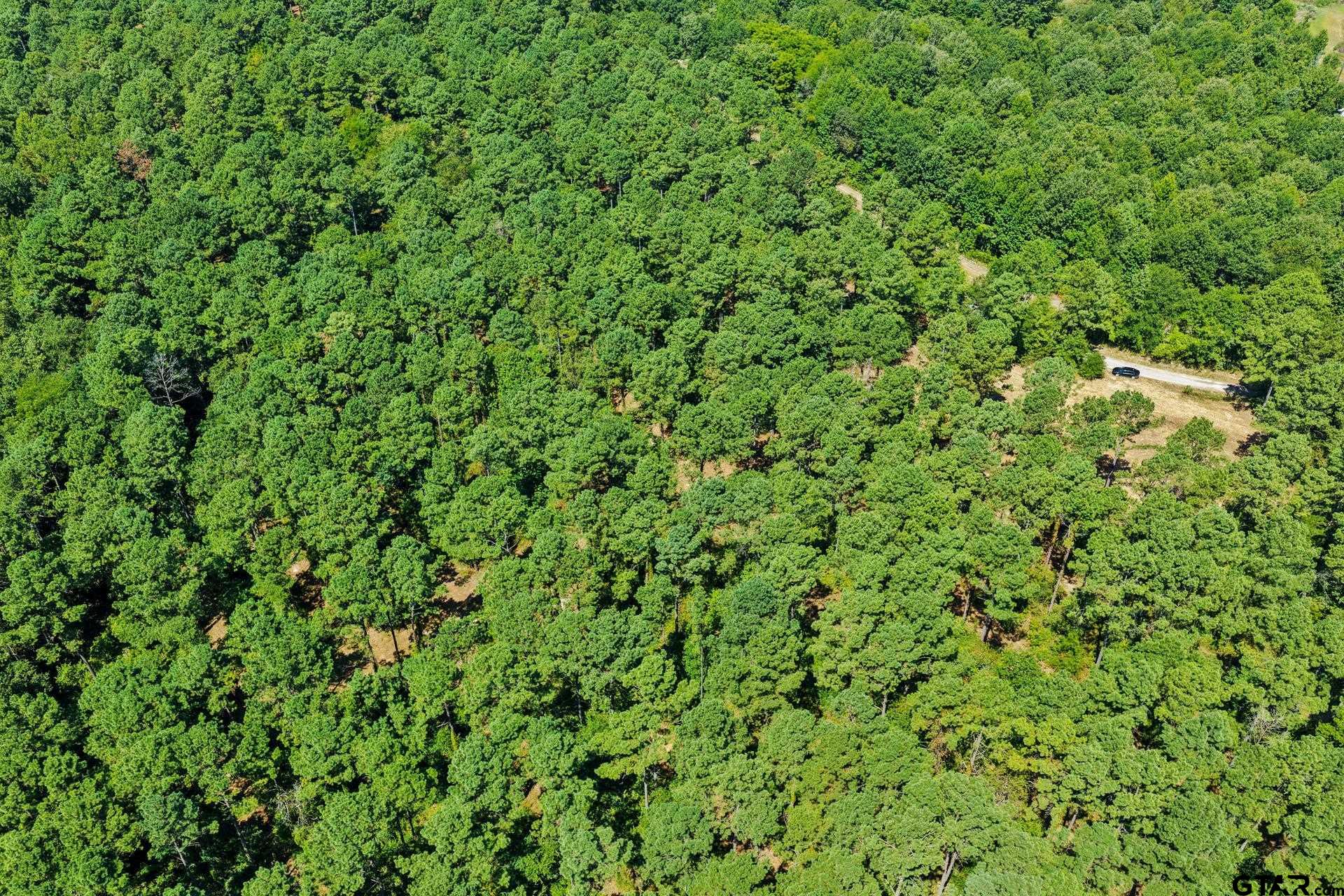 Lot 2 County Road 1240
