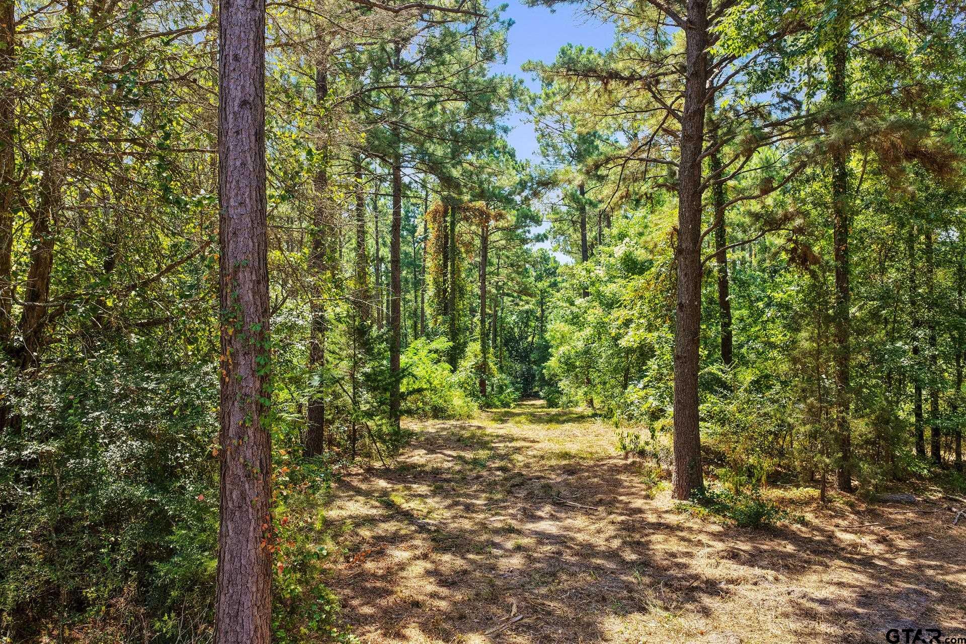 Lot 2 County Road 1240