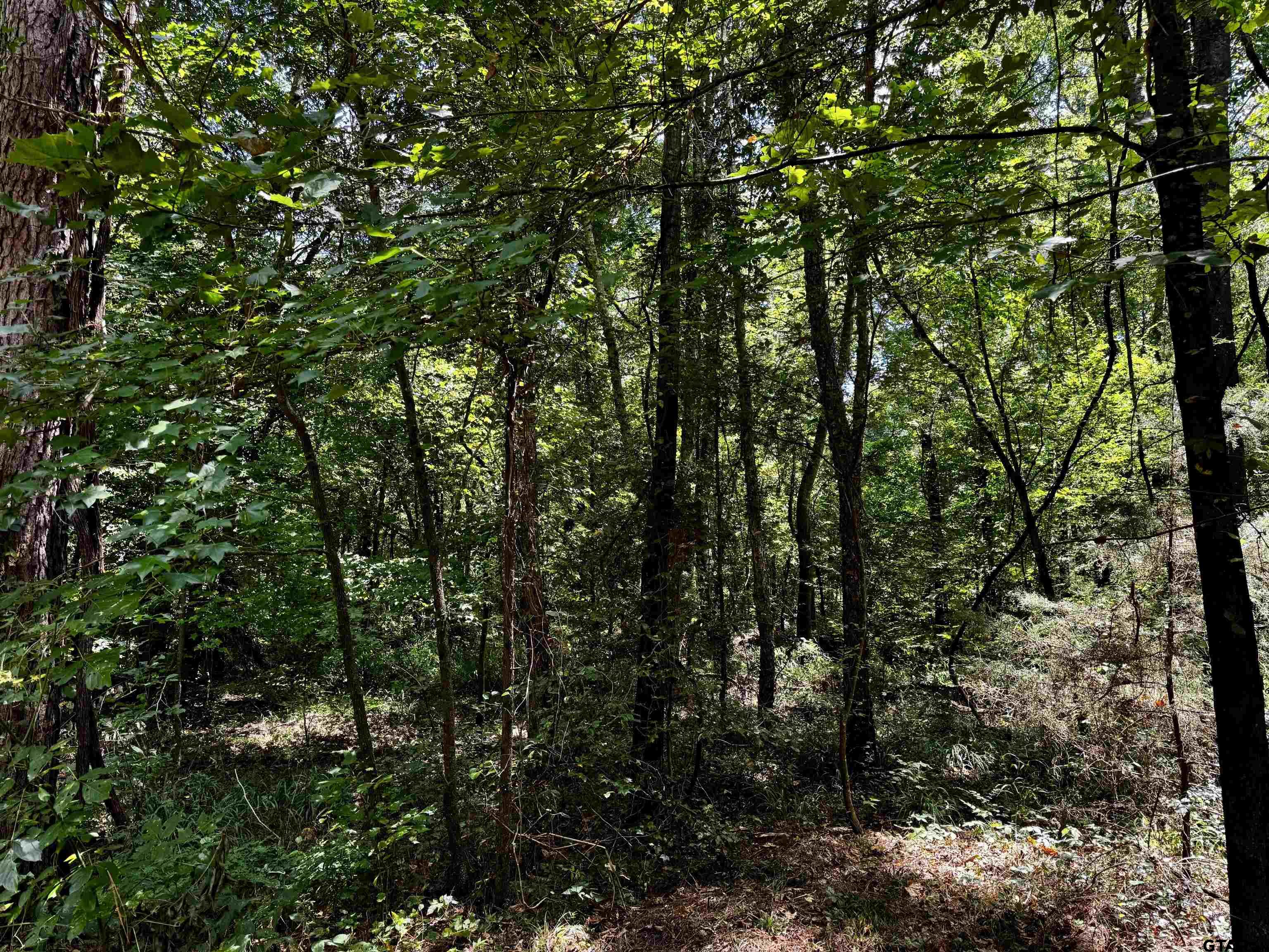 Lot 2 County Road 1240