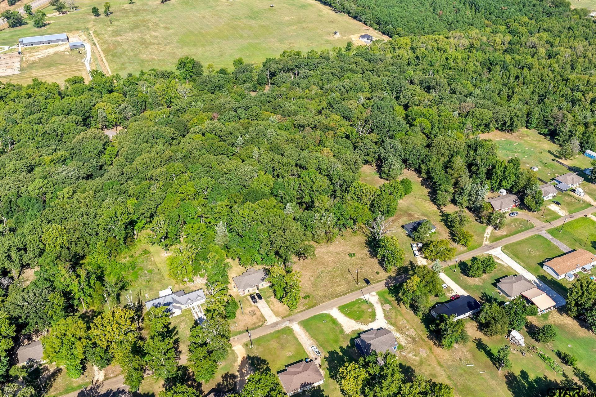 Lot 39 County Road 4231