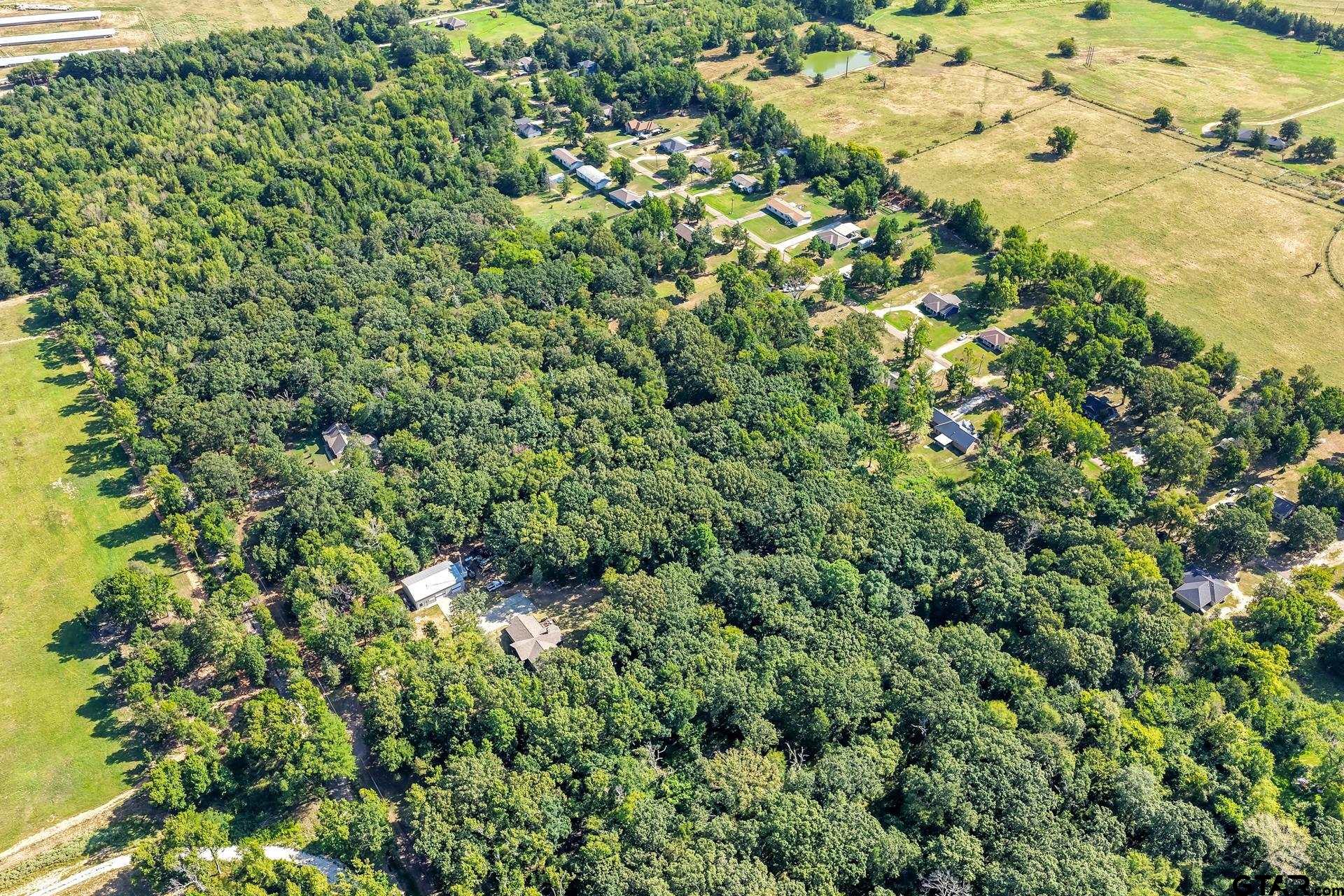 Lot 39 County Road 4231