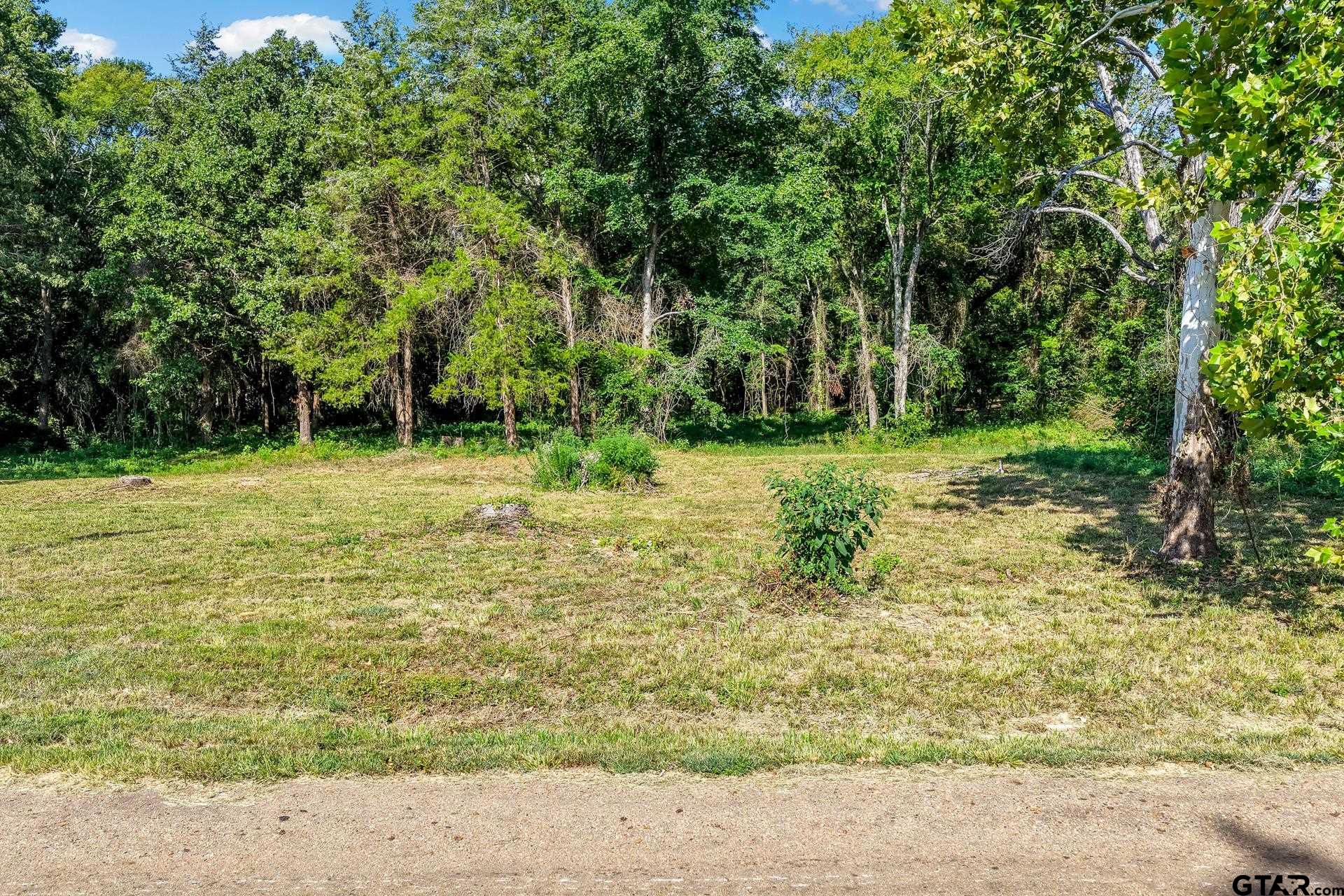 Lot 40 County road 4231