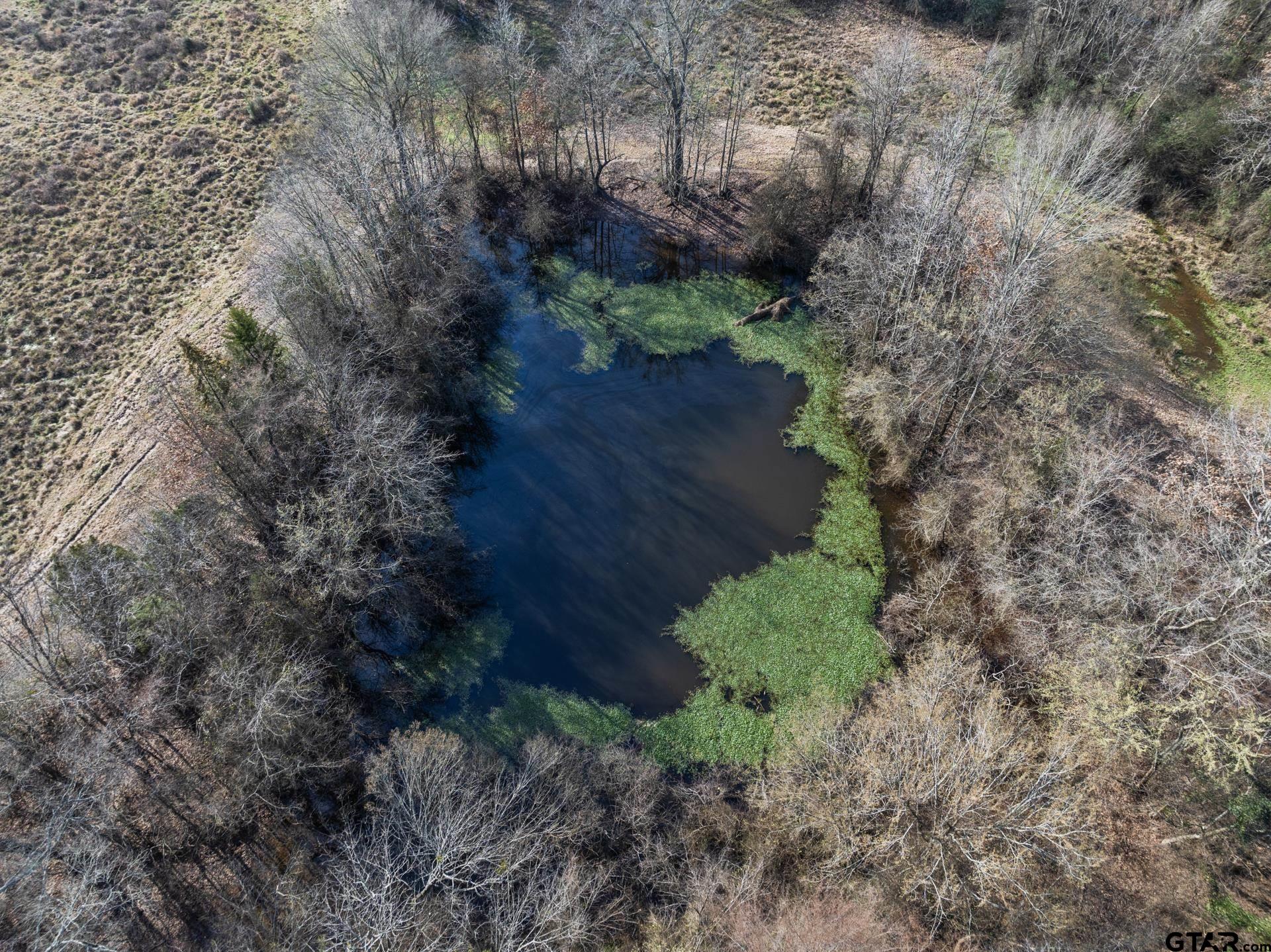 10 County Road 3357