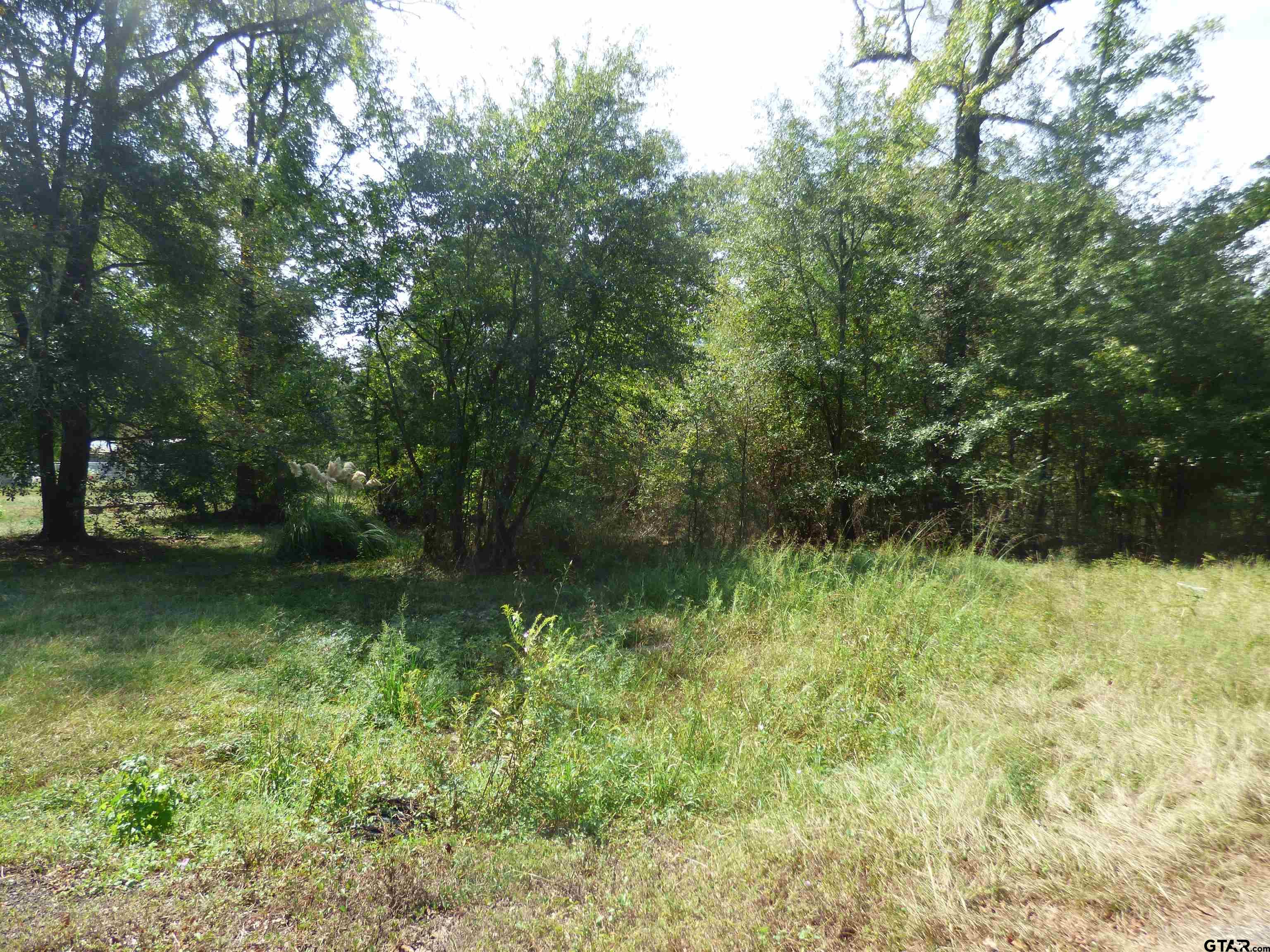 661 County Road 1147