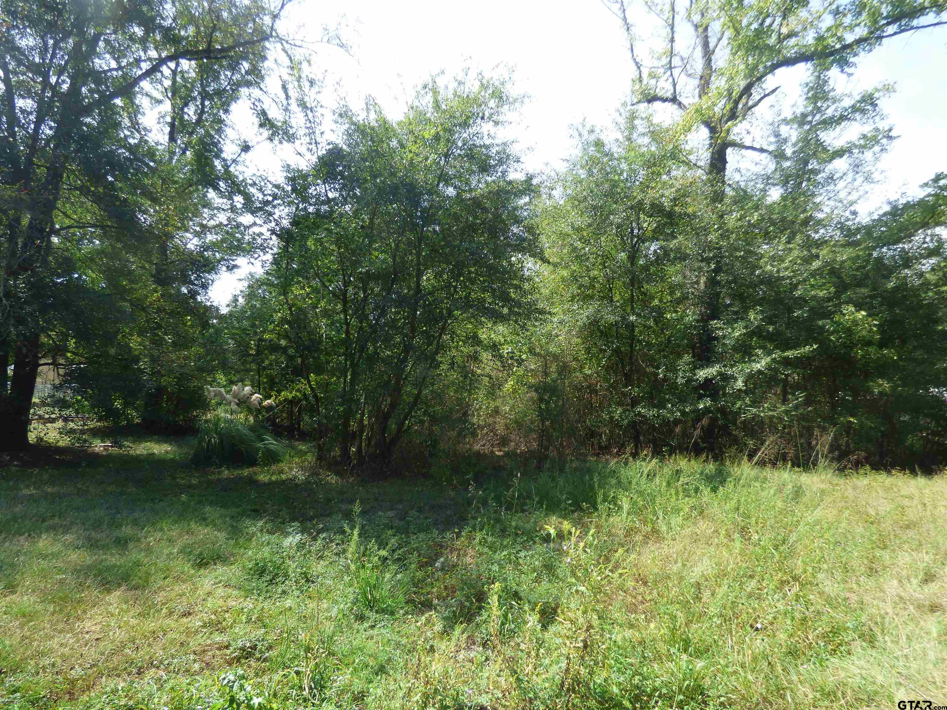661 County Road 1147