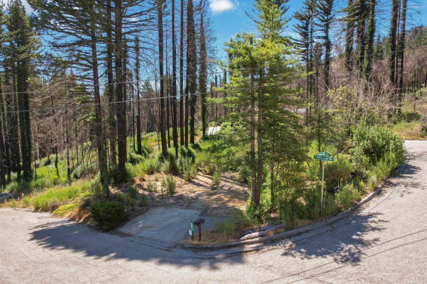 135 Fallen Leaf DR