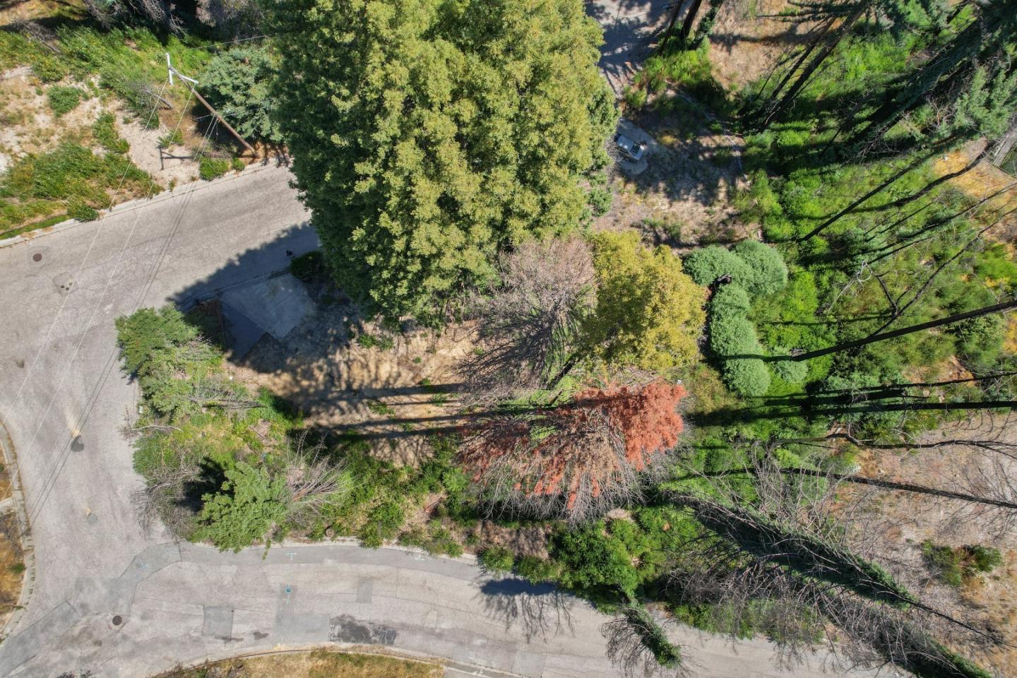 135 Fallen Leaf DR