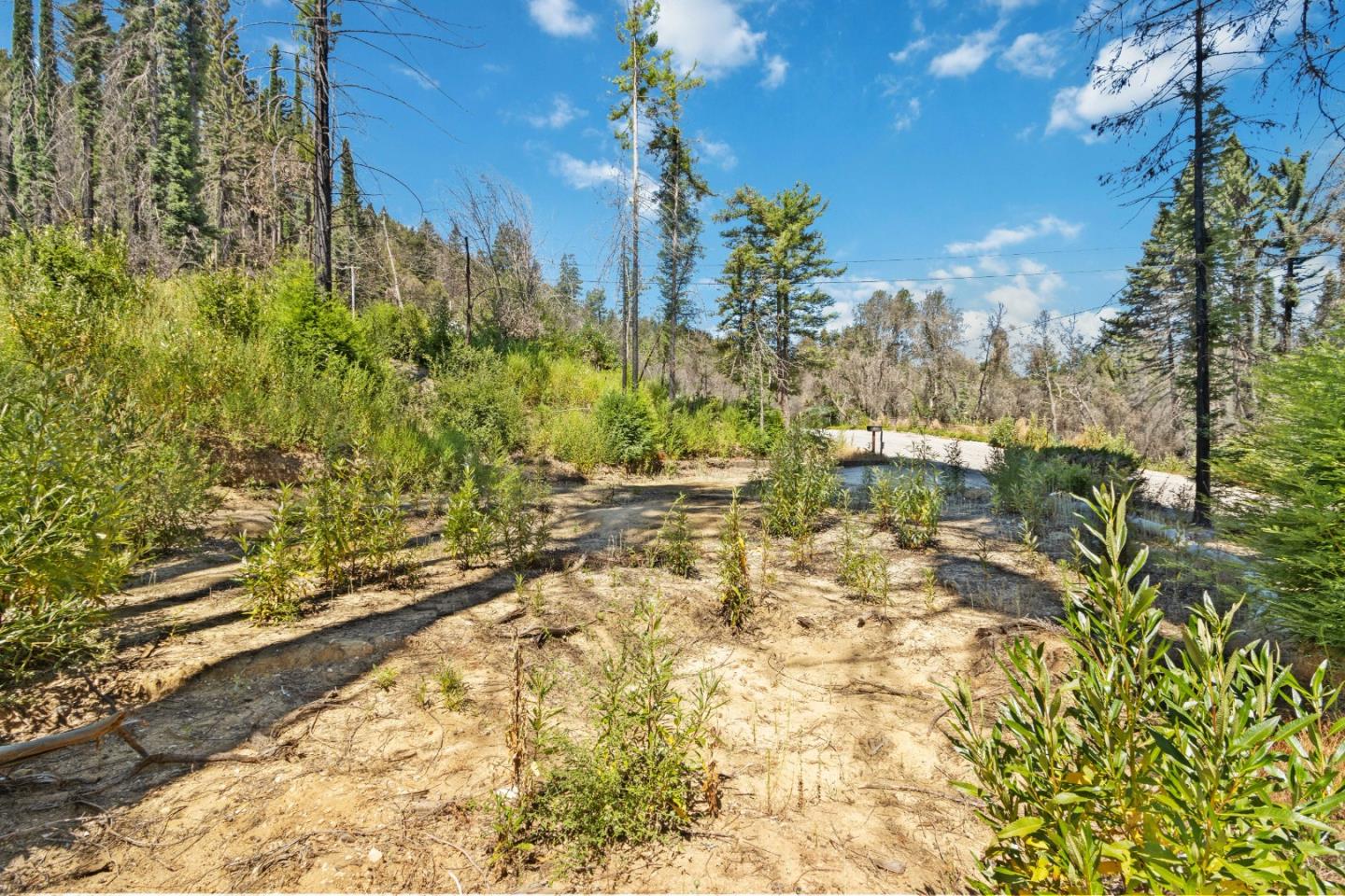 135 Fallen Leaf DR