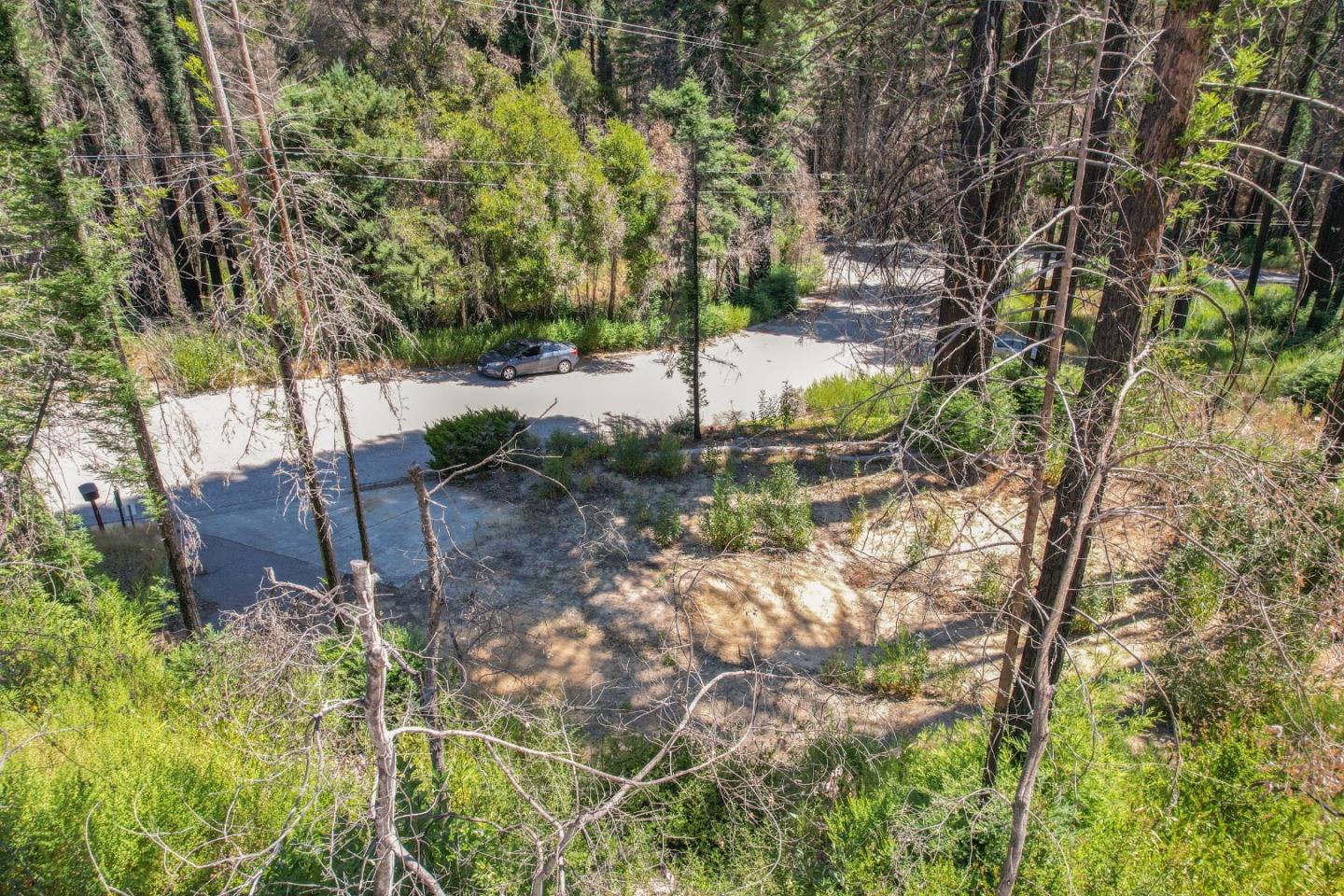 135 Fallen Leaf DR
