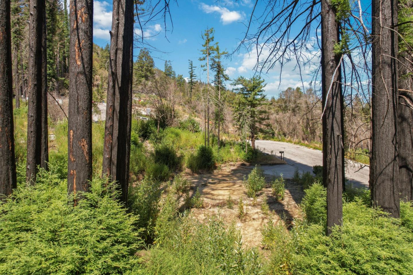 135 Fallen Leaf DR