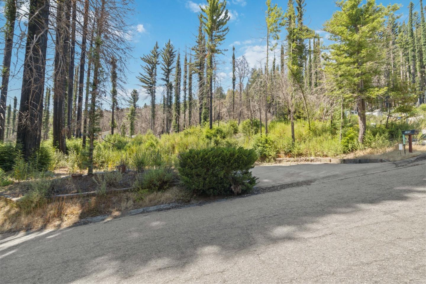 135 Fallen Leaf DR
