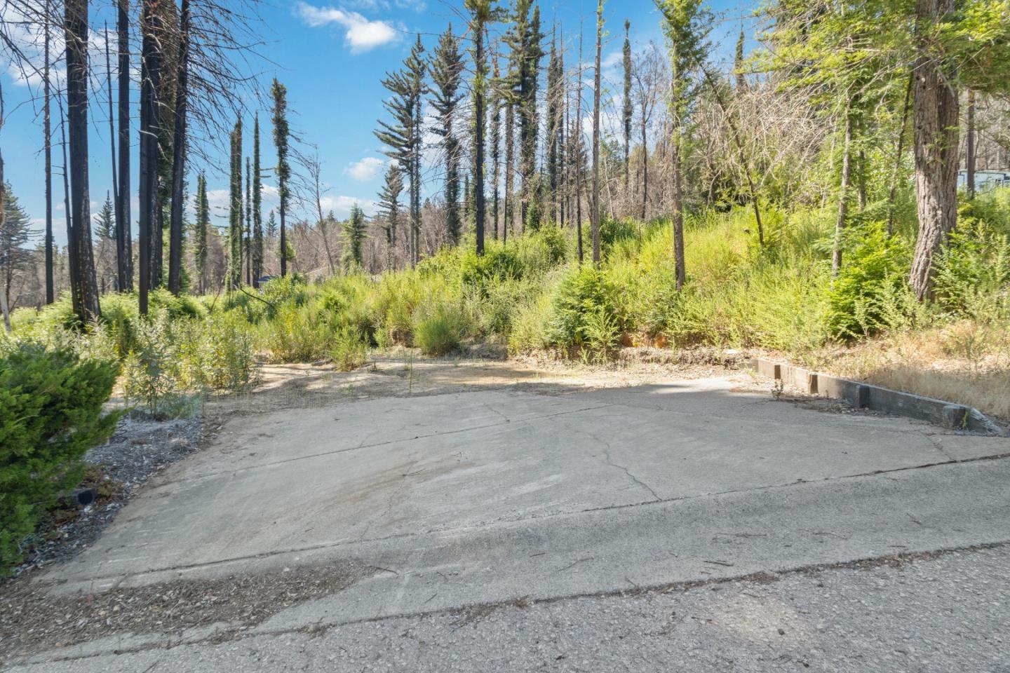 135 Fallen Leaf DR