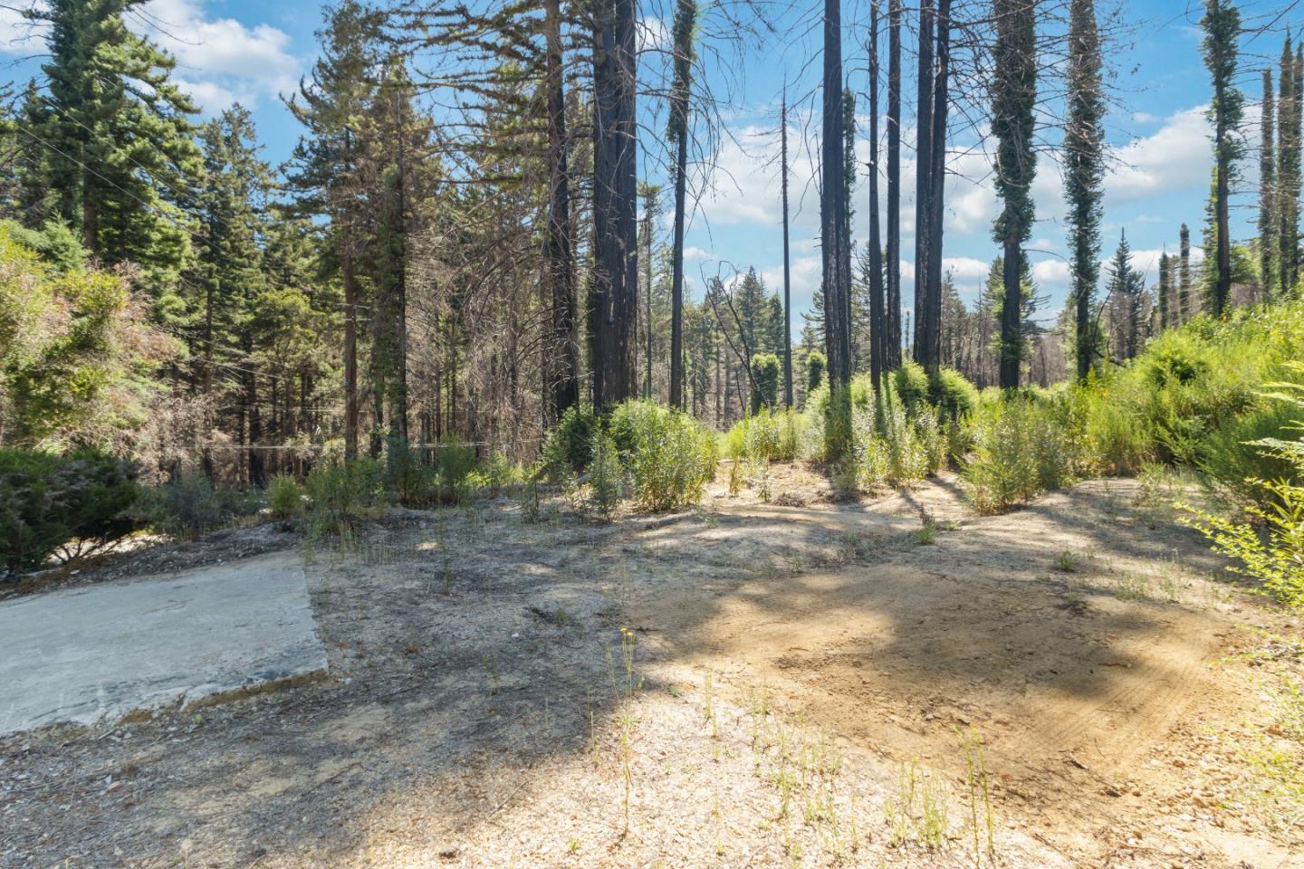 135 Fallen Leaf DR