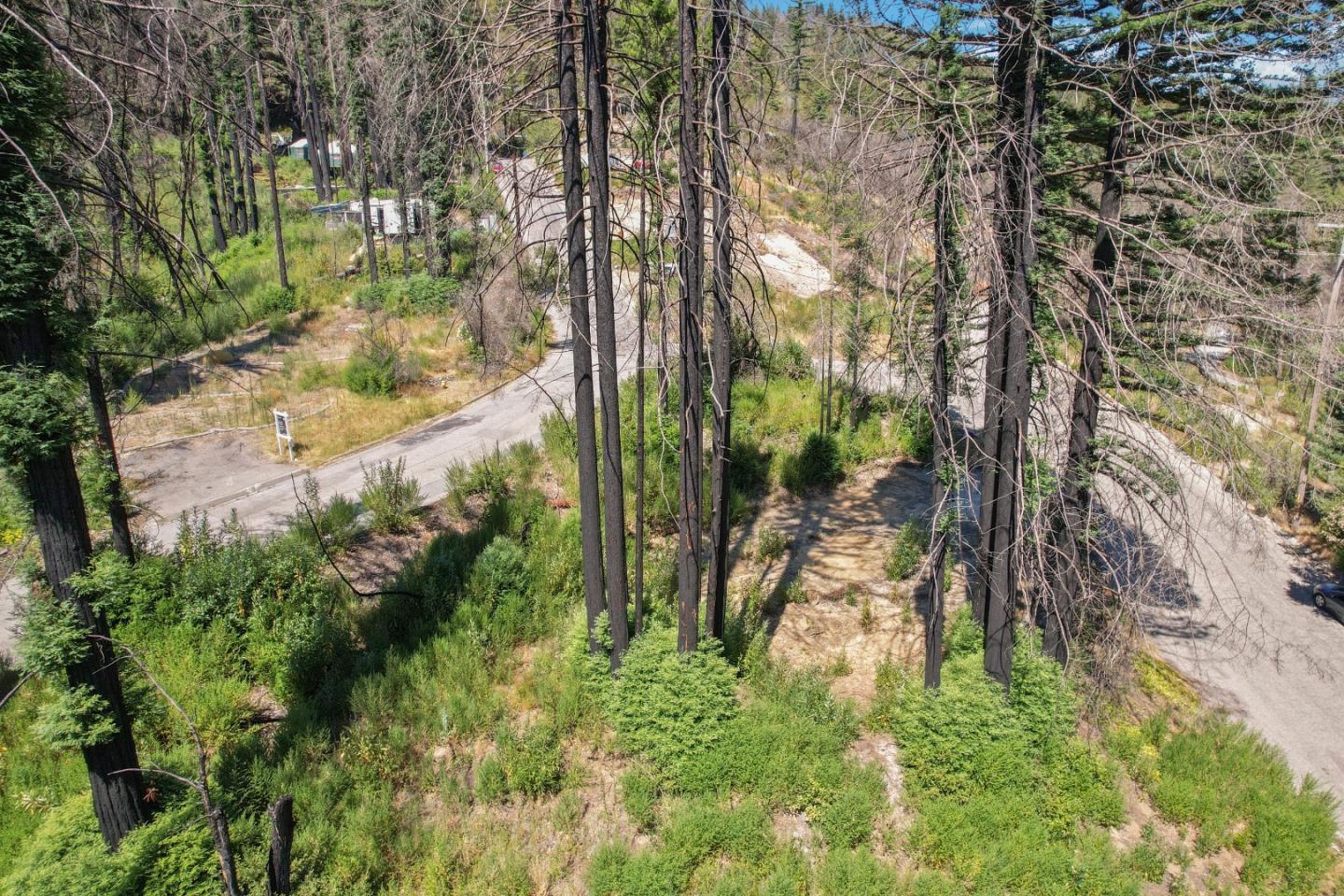 135 Fallen Leaf DR