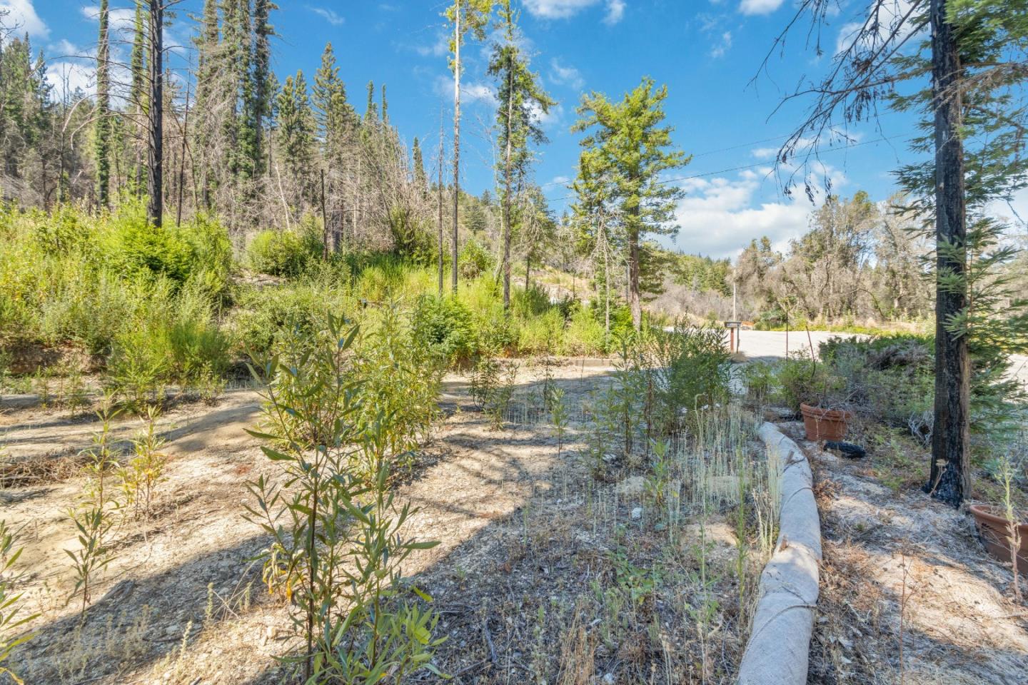 135 Fallen Leaf DR