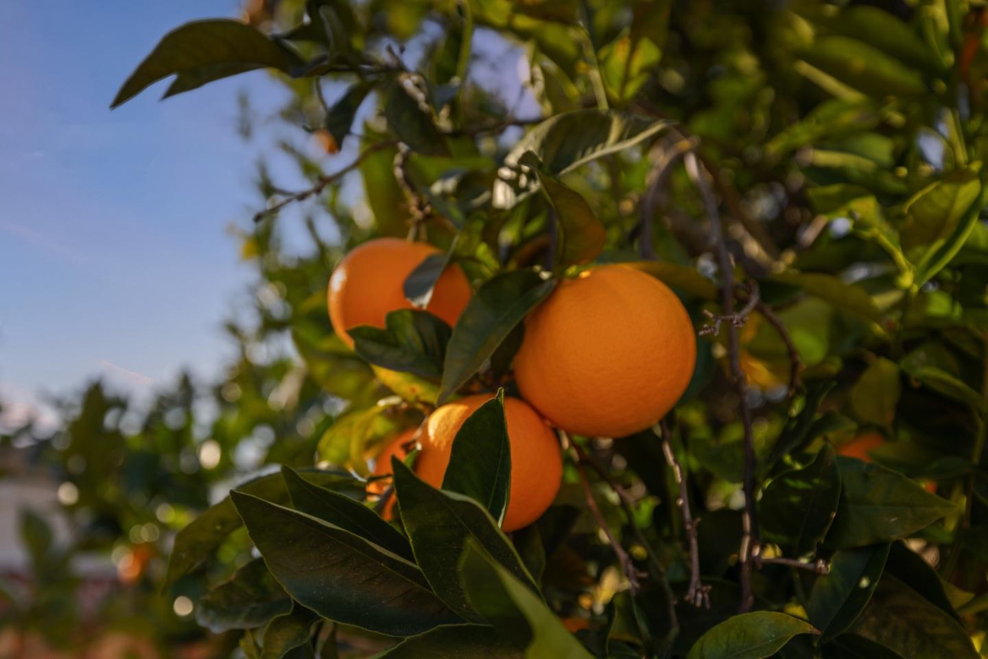 609 May AVE