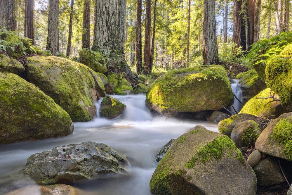 16580 Jamison Creek RD