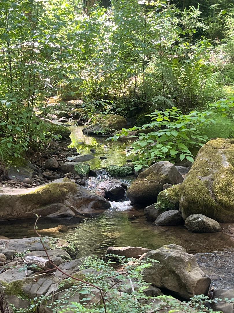 16580 Jamison Creek RD