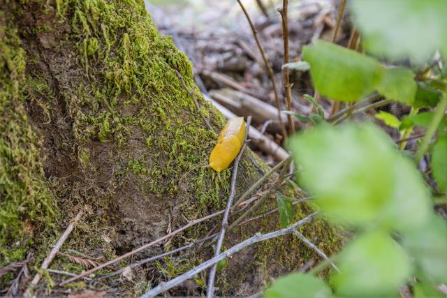 16580 Jamison Creek RD