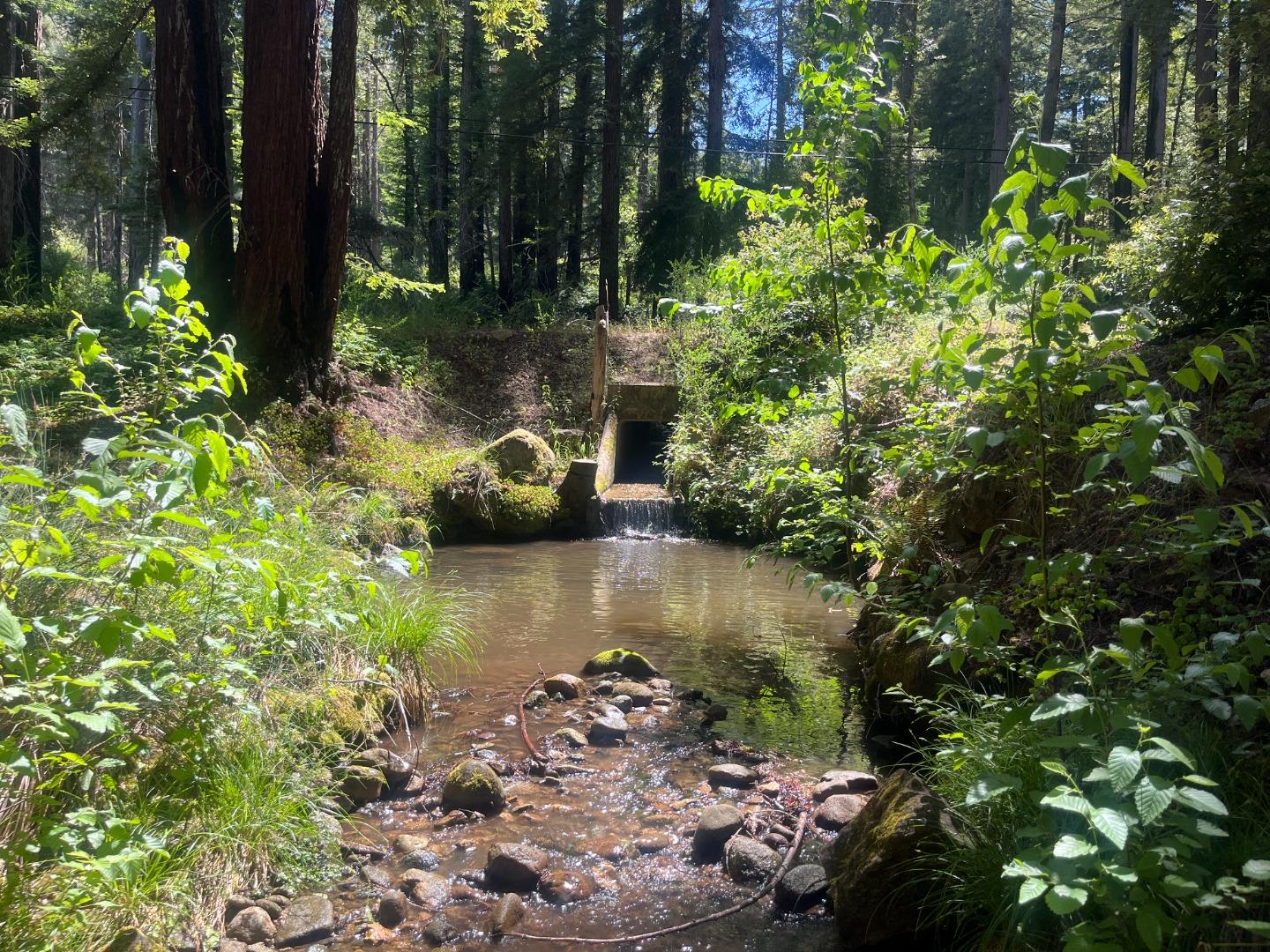 16580 Jamison Creek RD