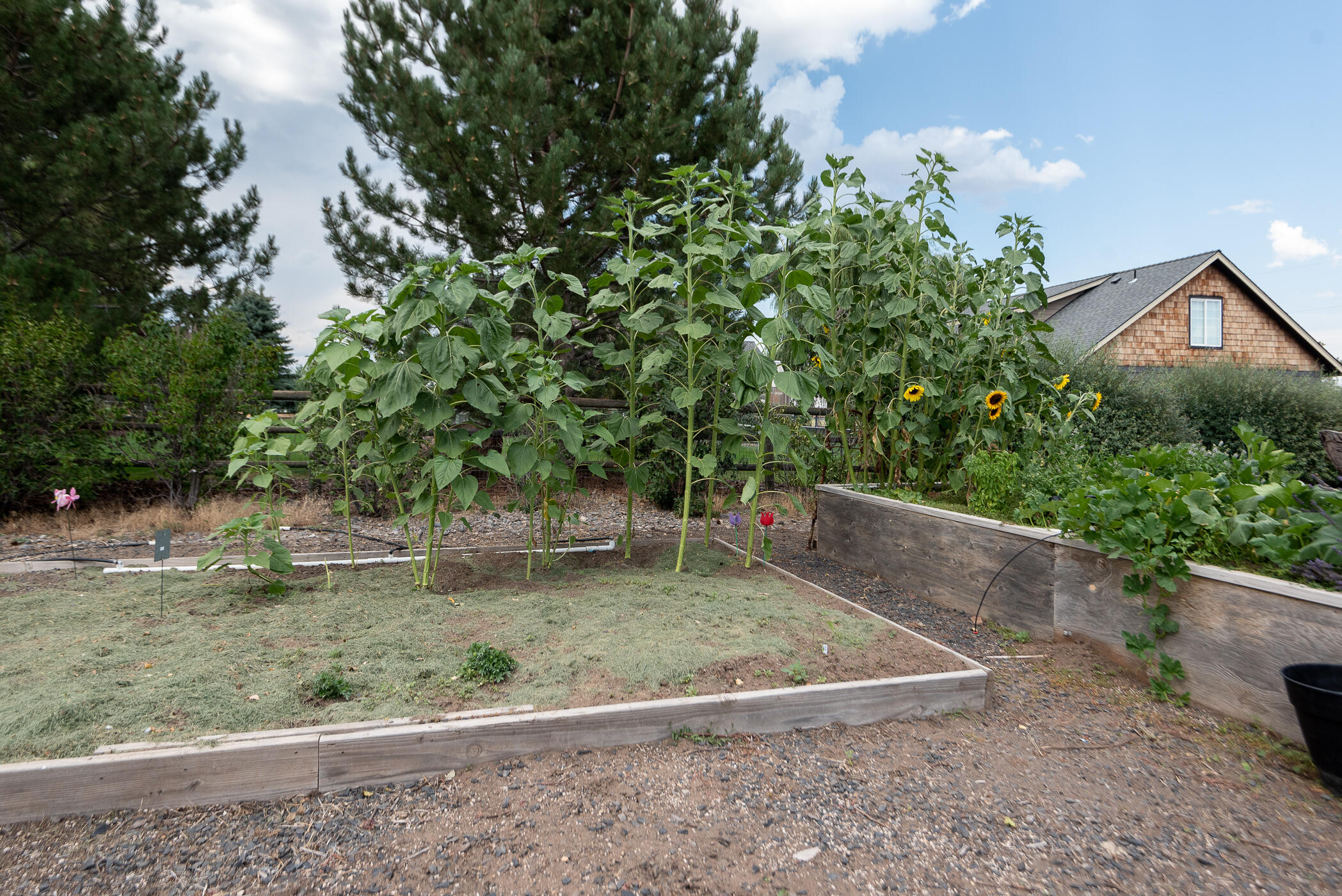 20311 Swalley Road