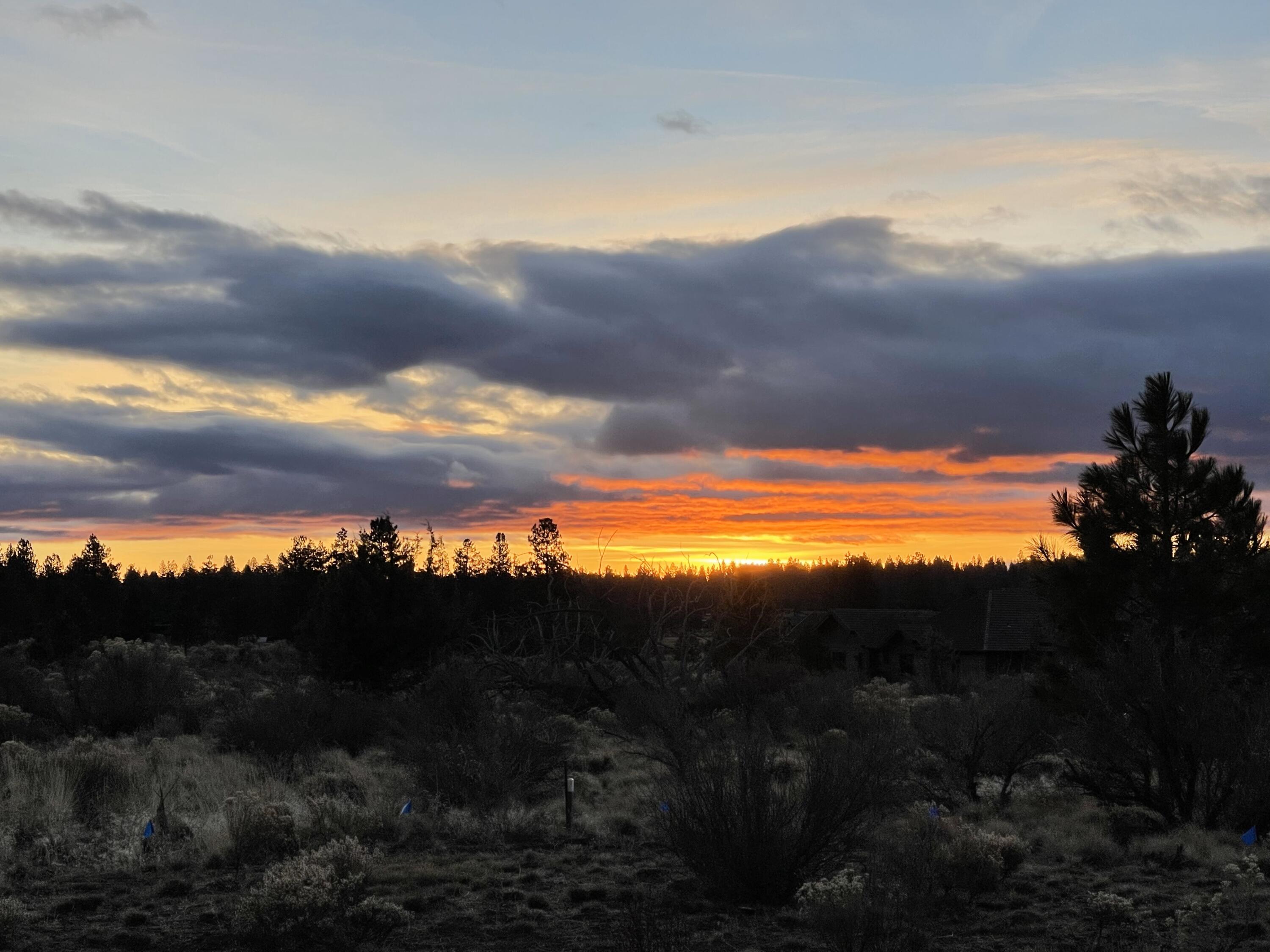 19209 Cartwright Court