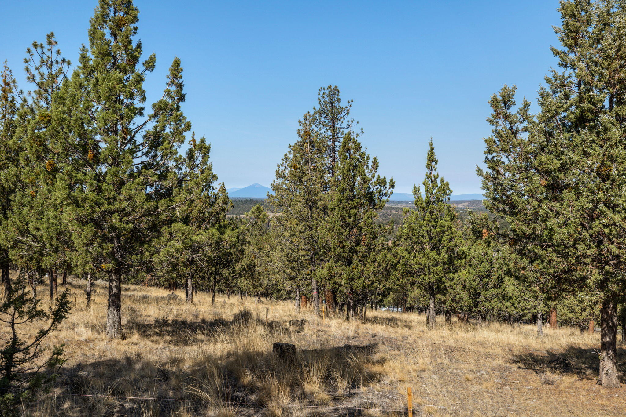 3611 NW Falcon Ridge