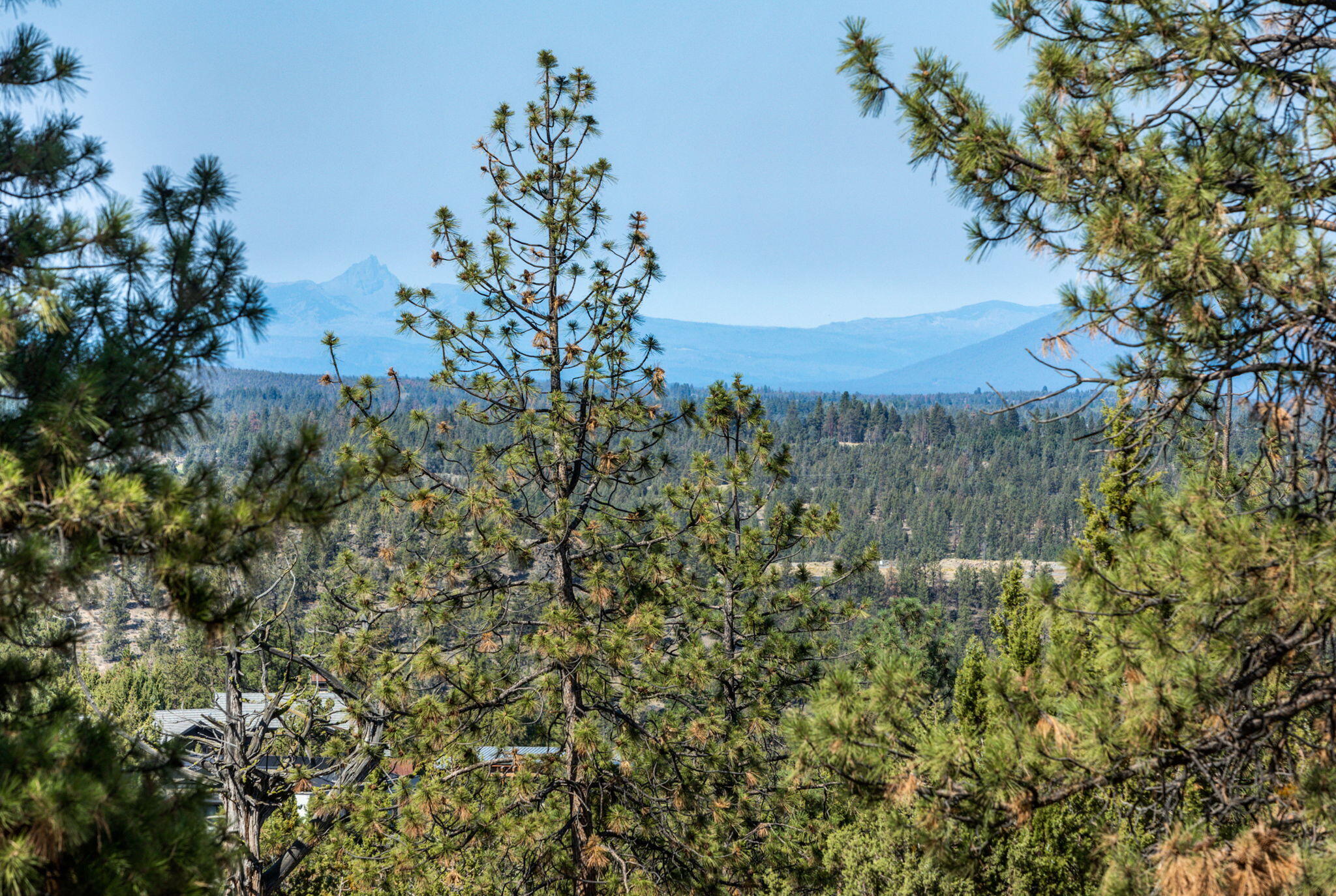 3611 NW Falcon Ridge