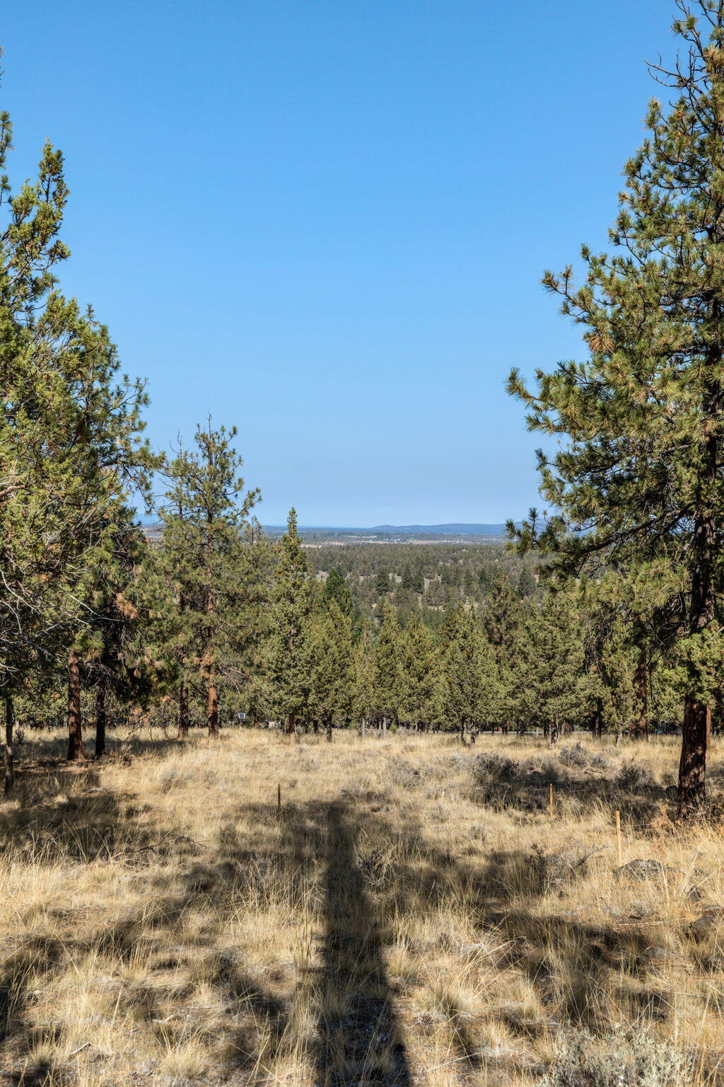 3611 NW Falcon Ridge