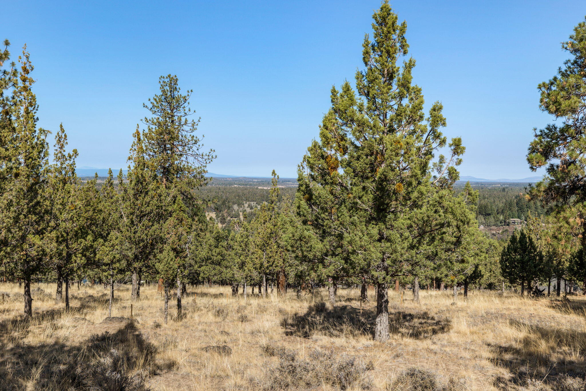 3611 NW Falcon Ridge